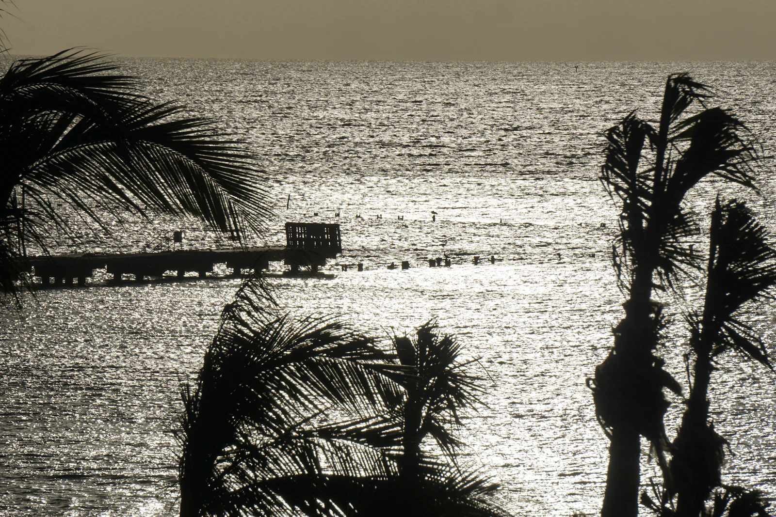 Key West, Florida photo 26 by Jason Dent
