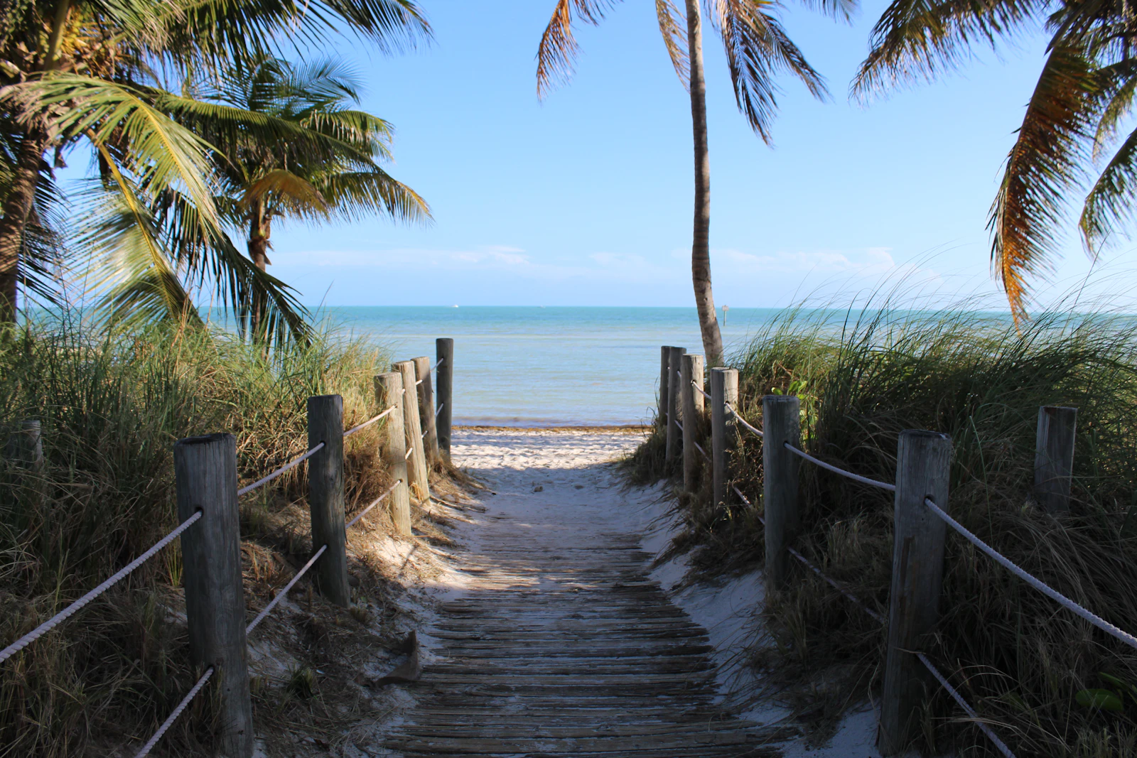 Key West, Florida photo 4 by Lisa Davidson