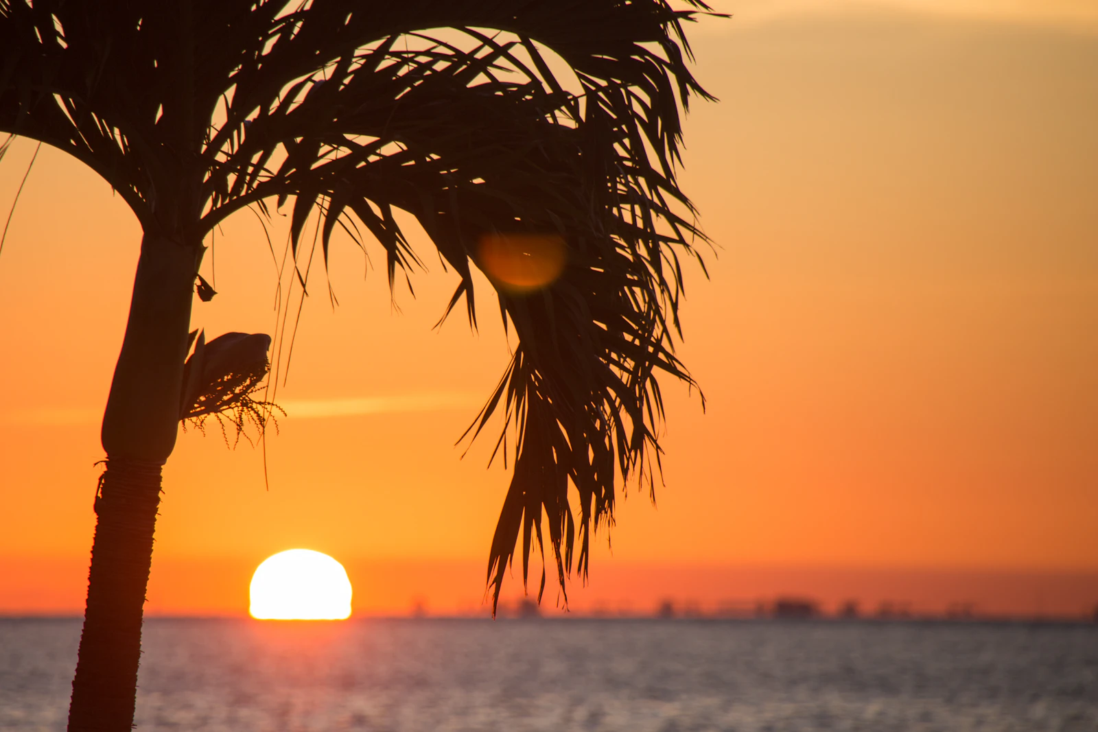 Key West, Florida photo 14 by Florida-Guidebook.com