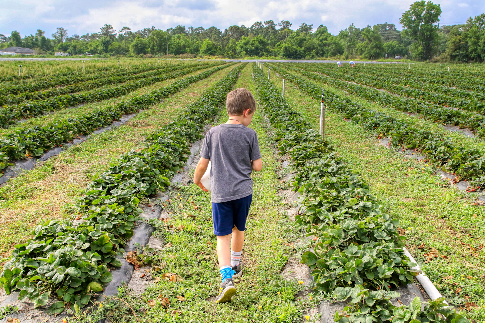 Kissimmee, Florida photo 10 by Mick Haupt