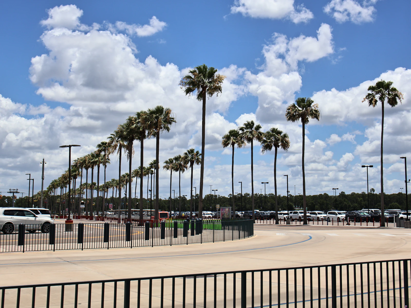 Kissimmee, Florida photo 6 by Jasimine Blaser