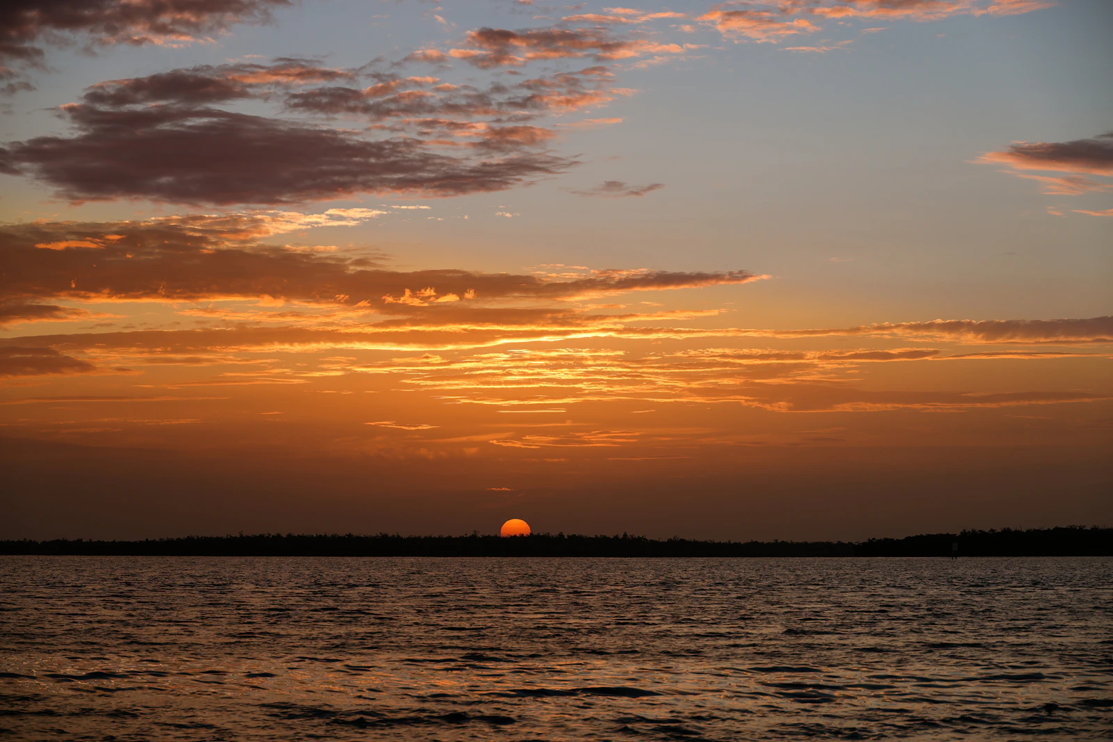 Marco Island, Florida photo 7 by STEPHEN SHEPPARD