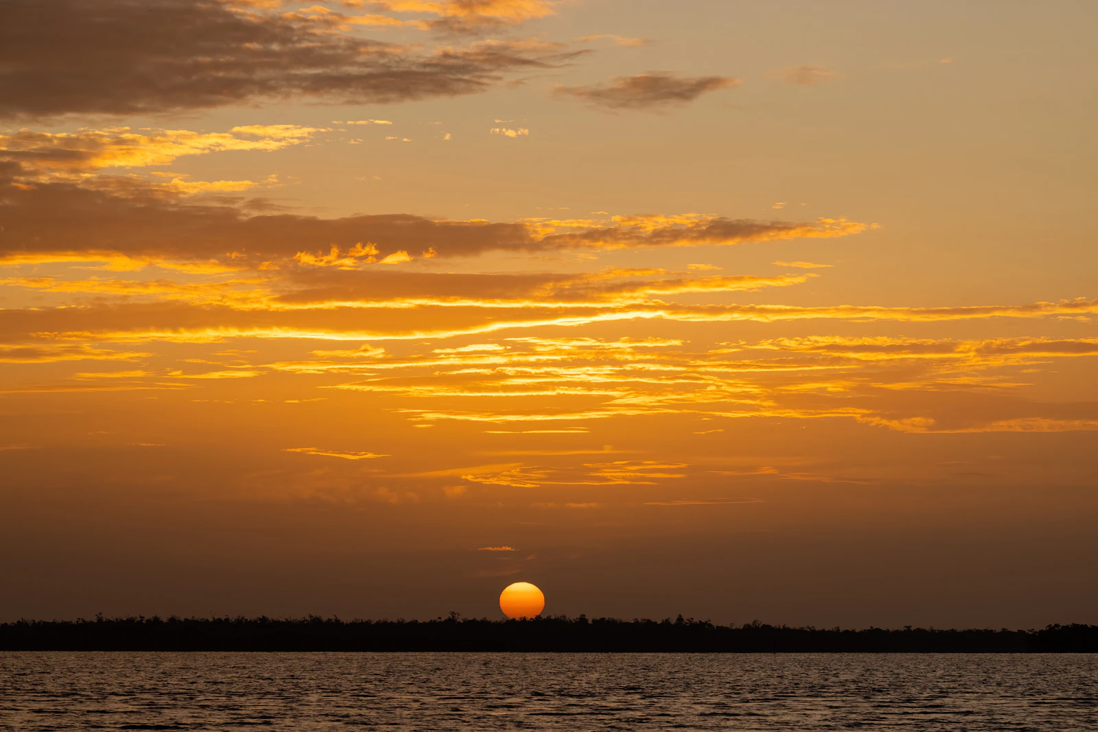 Marco Island, Florida photo 6 by STEPHEN SHEPPARD