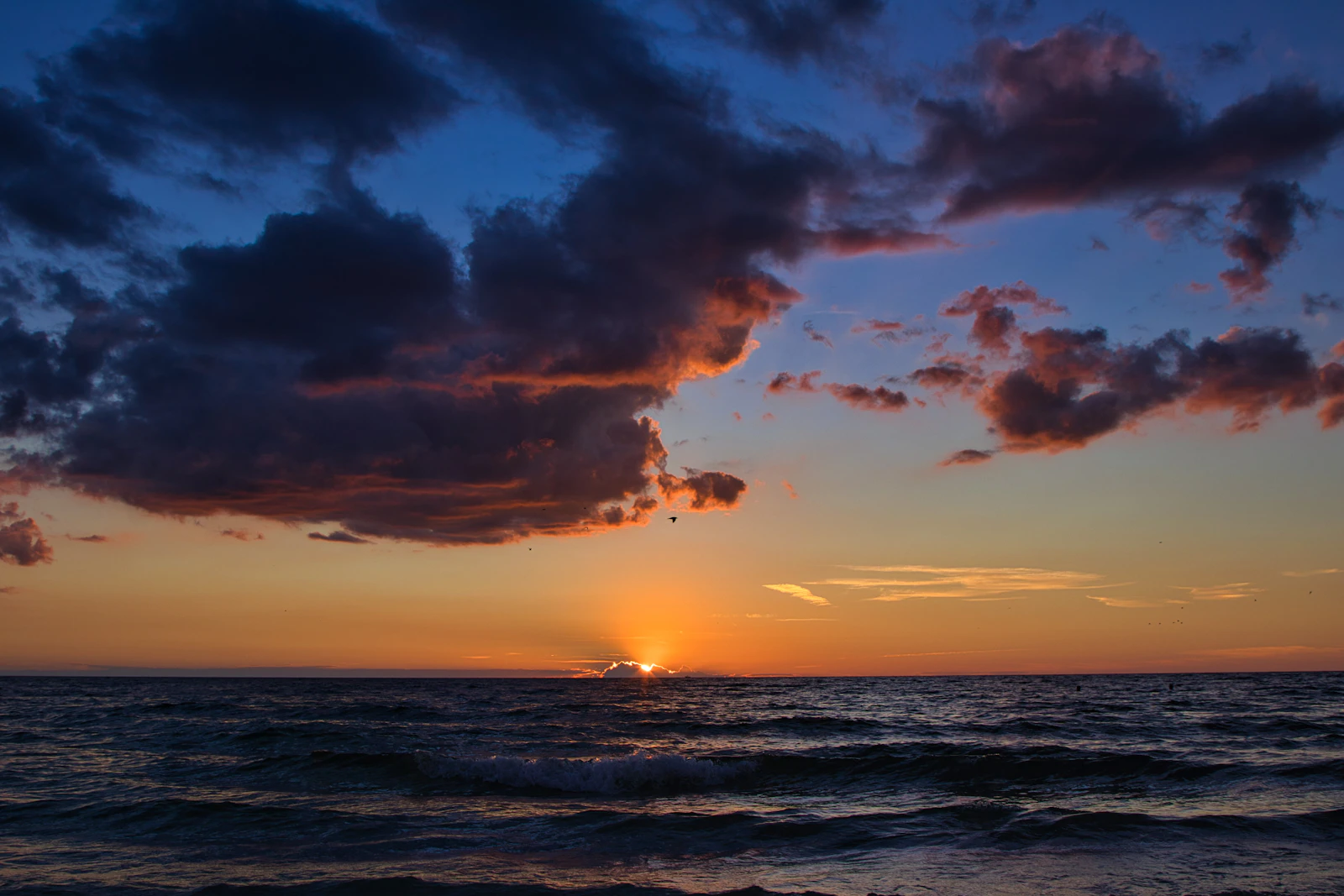 Marco Island, Florida photo 13 by Braden Egli