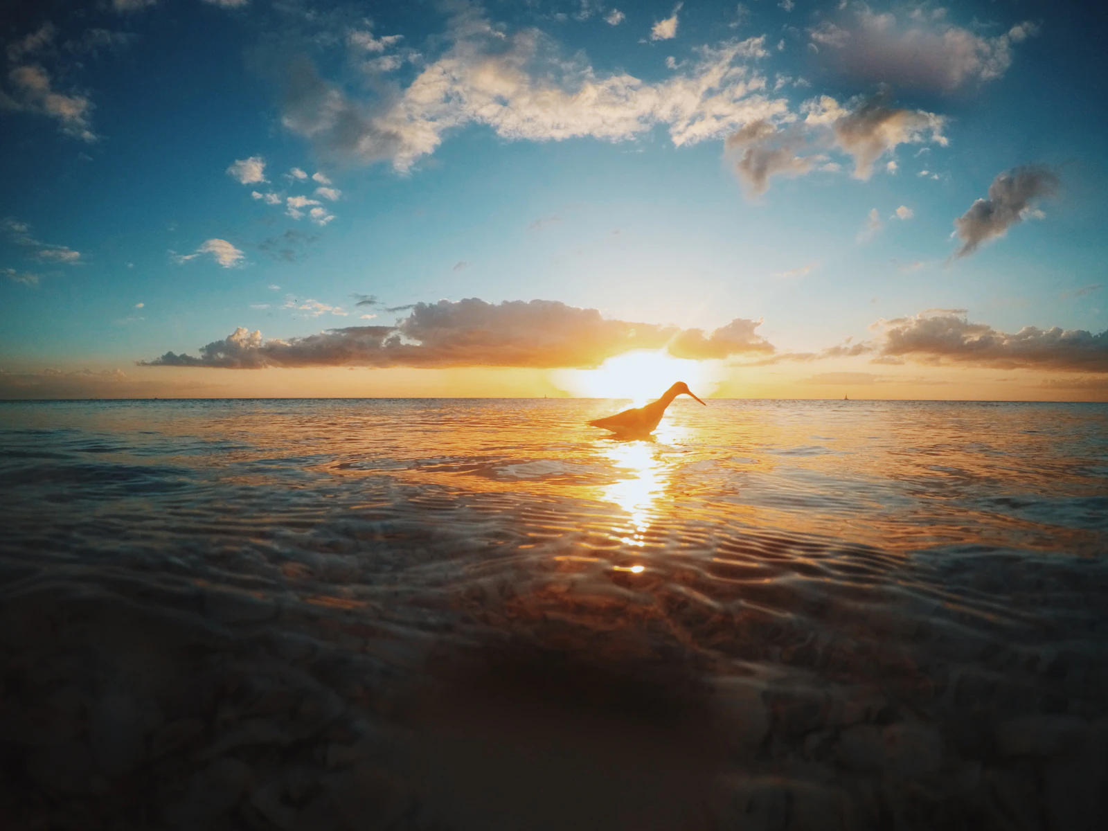 Marco Island, Florida photo 16 by Alex Perez