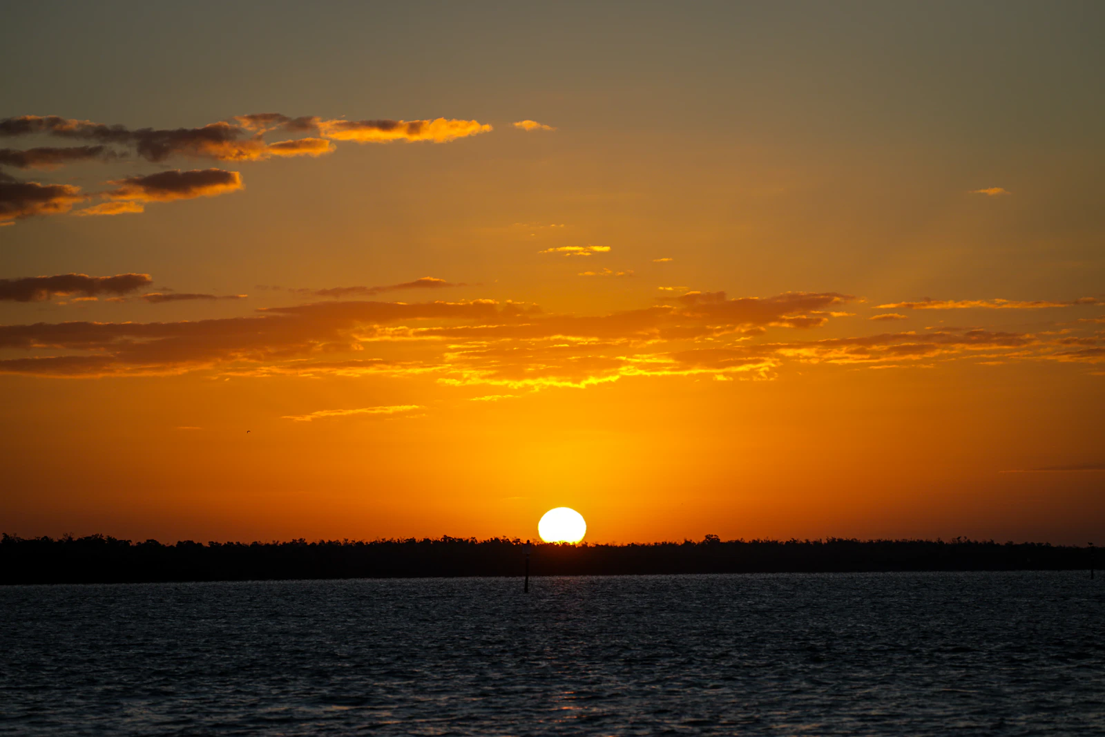 Marco Island, Florida photo 9 by STEPHEN SHEPPARD