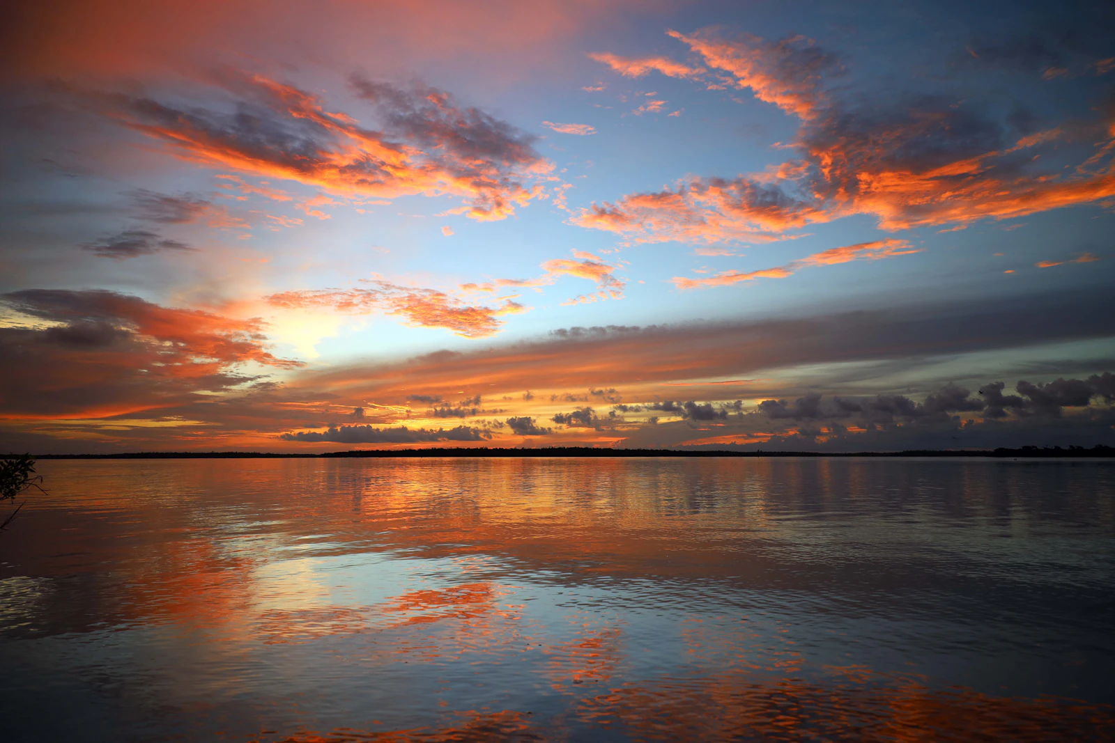 Marco Island, Florida photo 2 by STEPHEN SHEPPARD