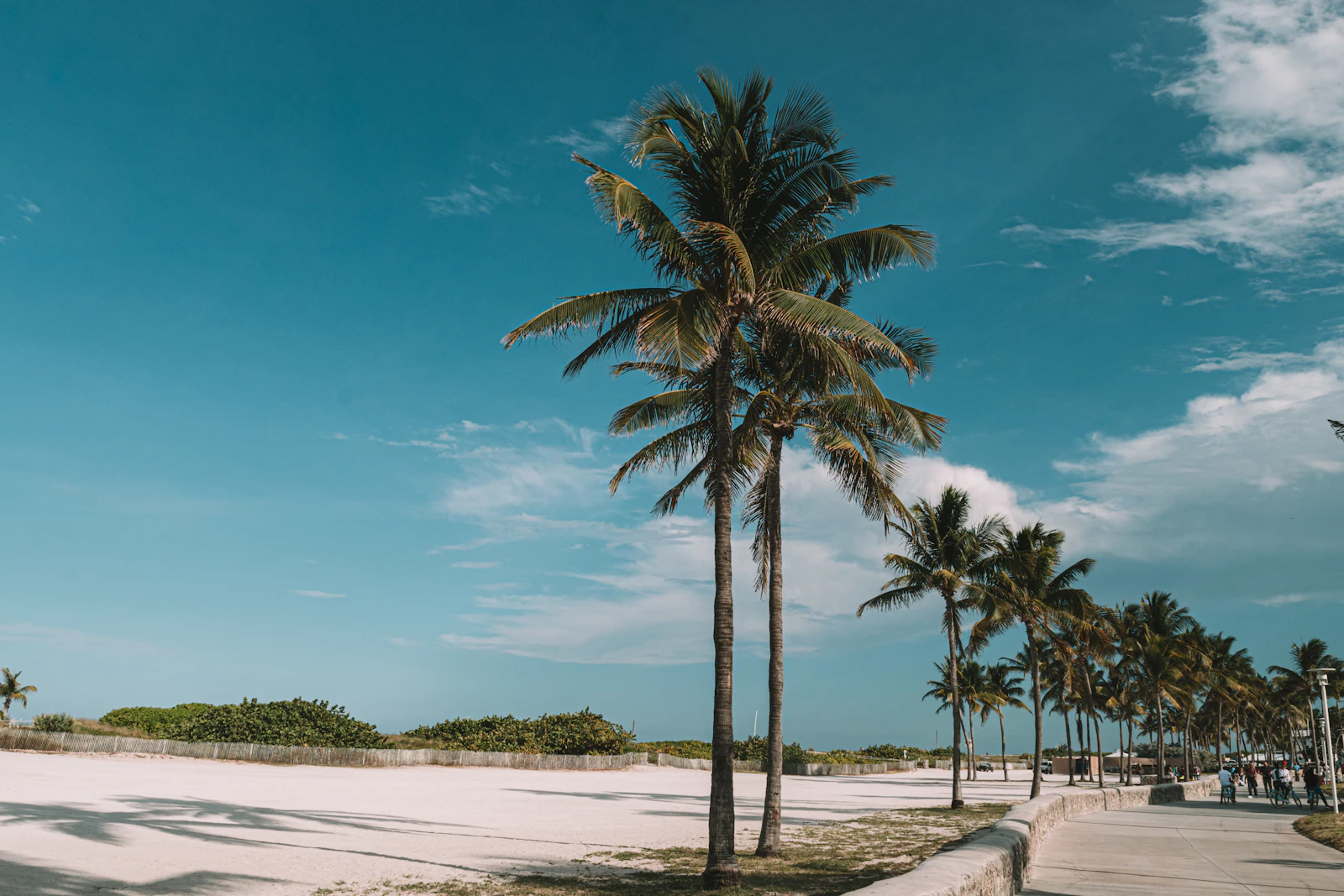 Miami Beach, Florida photo 29 by Juan Rojas