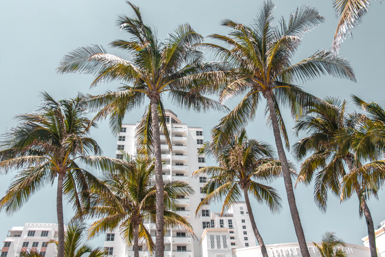 Miami, Florida photo 21 by Kian Lem