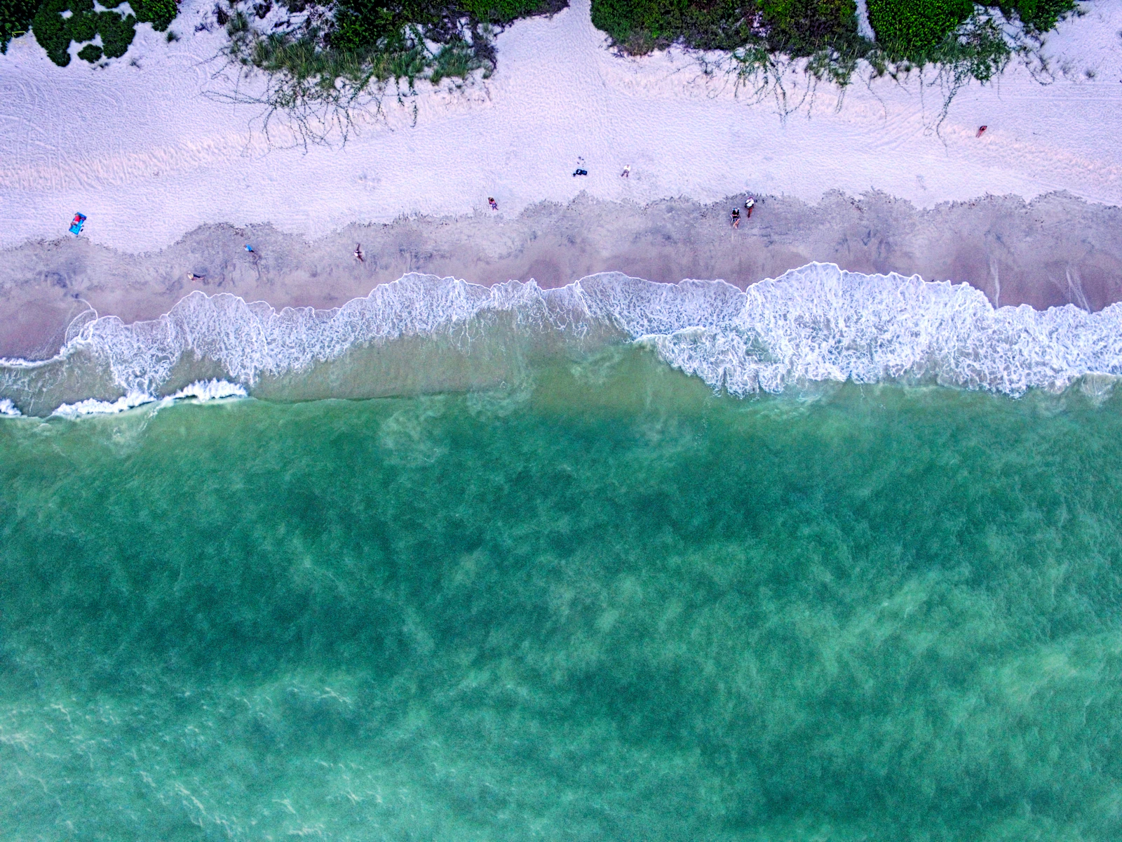 Naples, Florida photo 11 by Tamara Malaniy