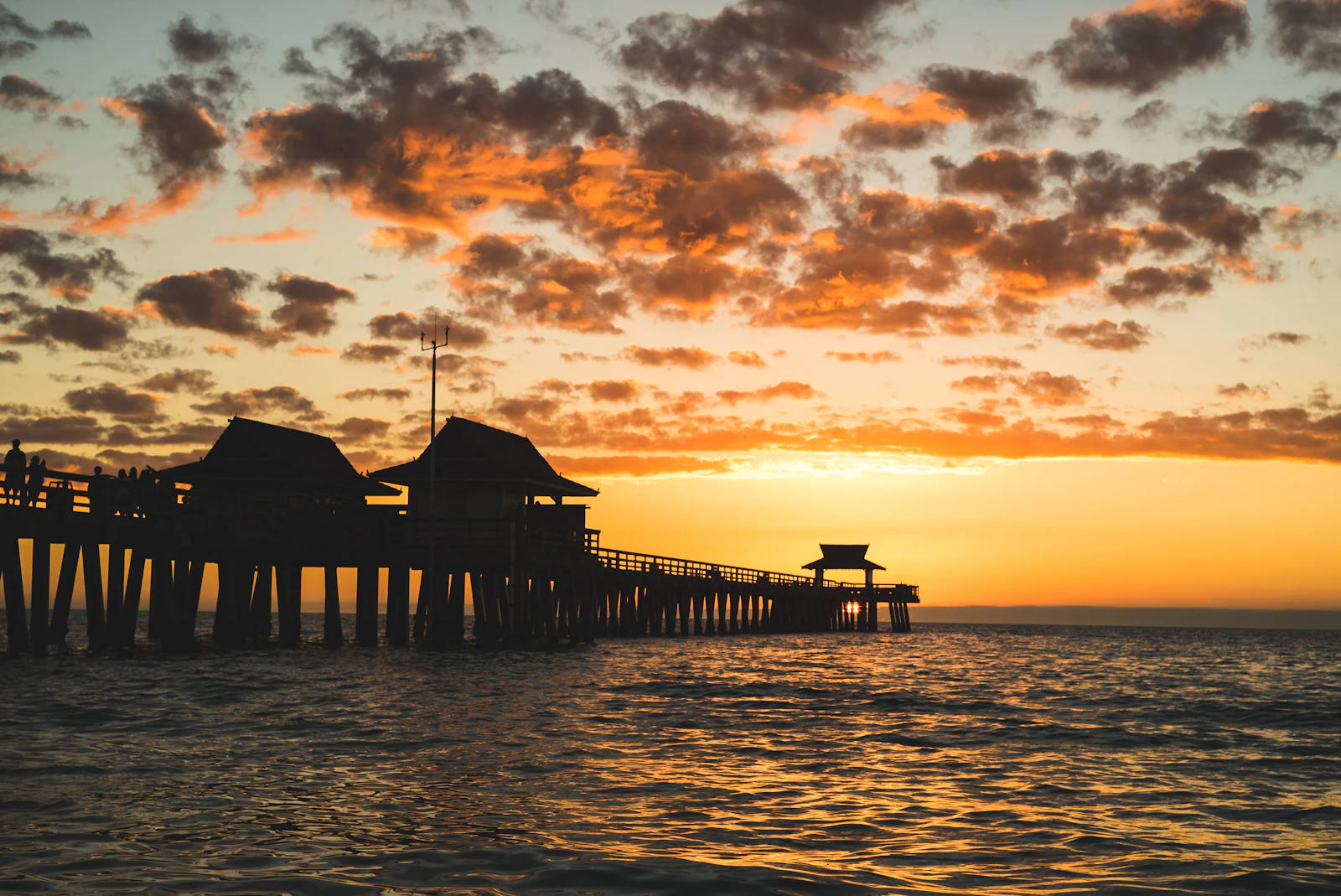 Naples, Florida photo 3 by Bailey Rapp
