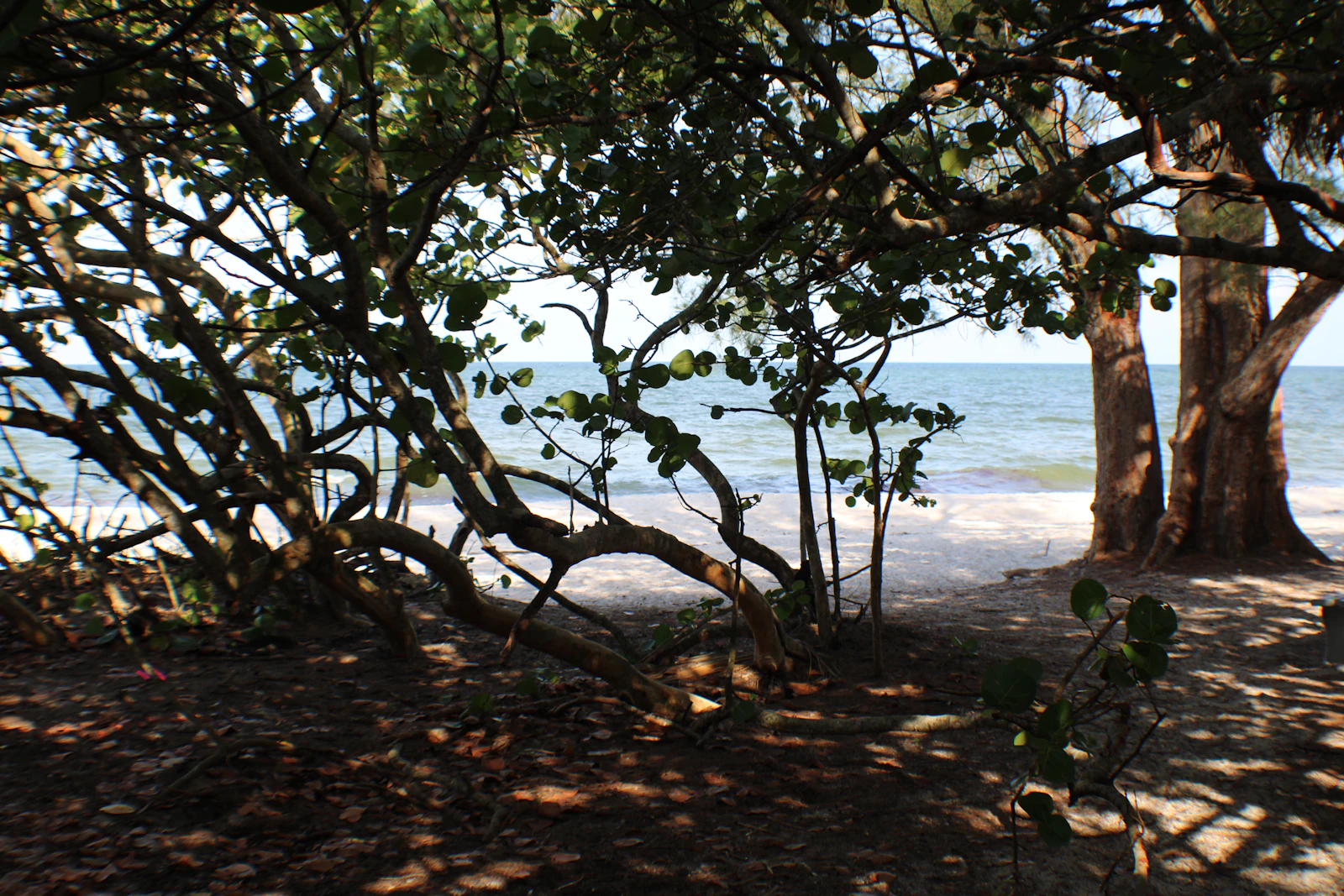 Naples, Florida photo 18 by K Adams