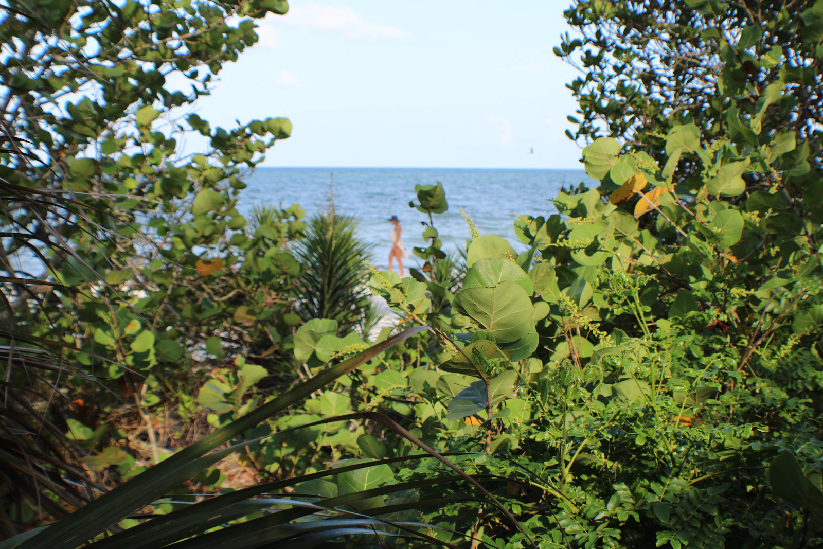 Naples, Florida photo 17 by K Adams
