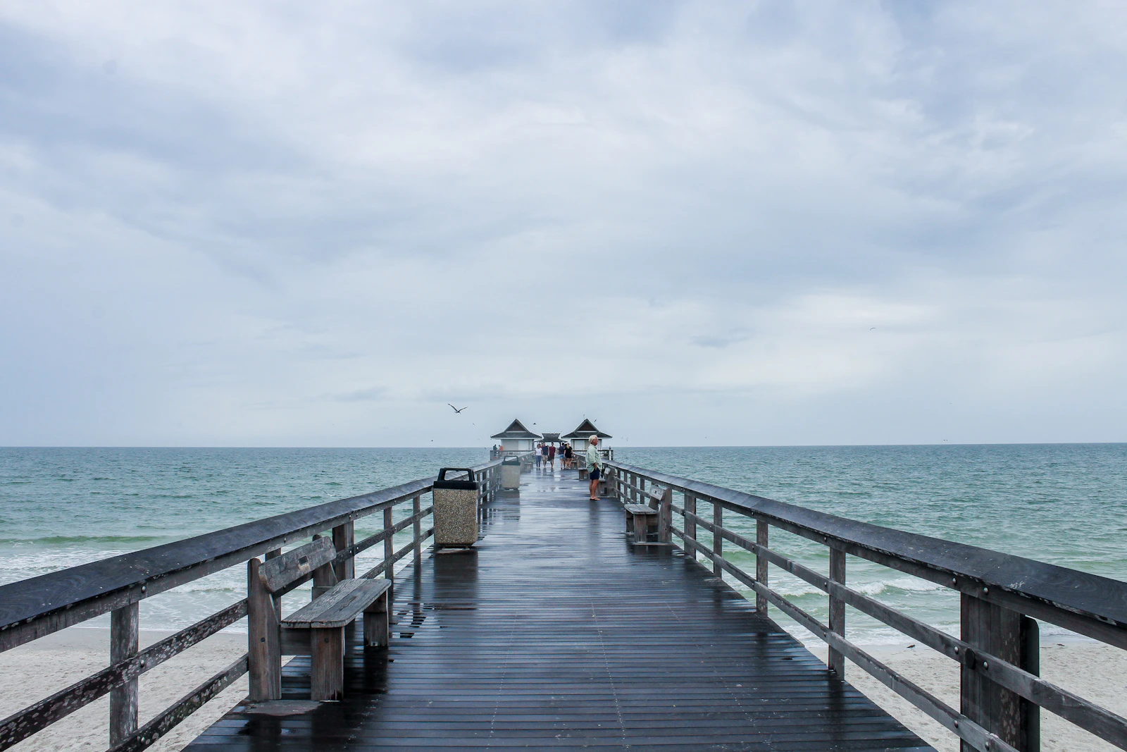 Naples, Florida photo 8 by Rebecca Cairns