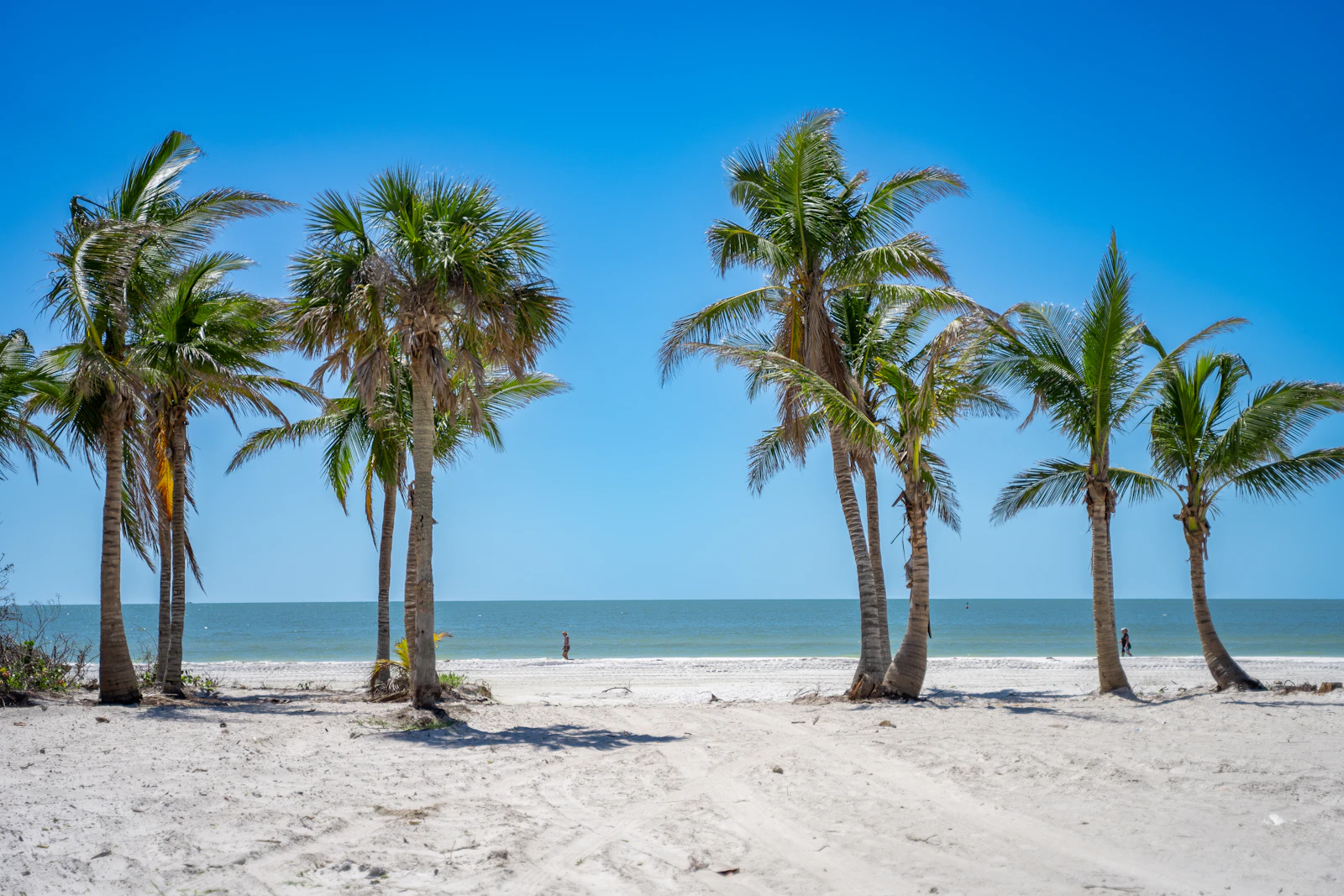 Naples, Florida photo 5 by Pasqualino Capobianco