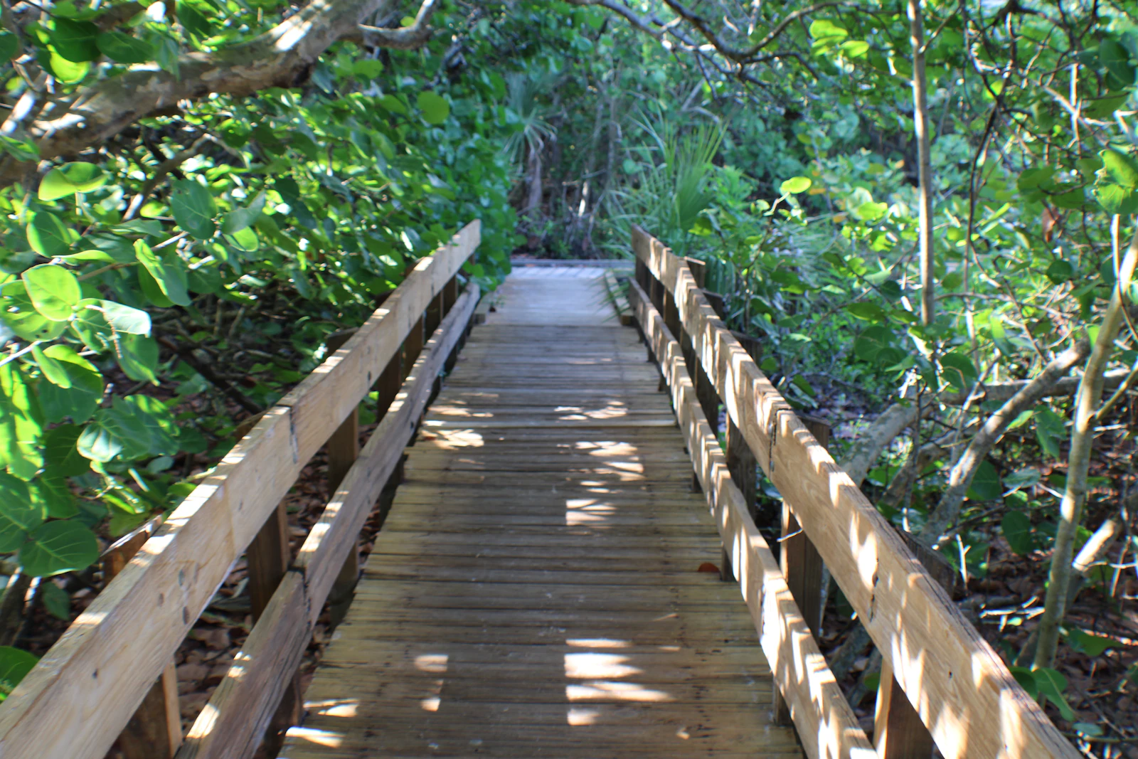 Naples, Florida photo 19 by K Adams