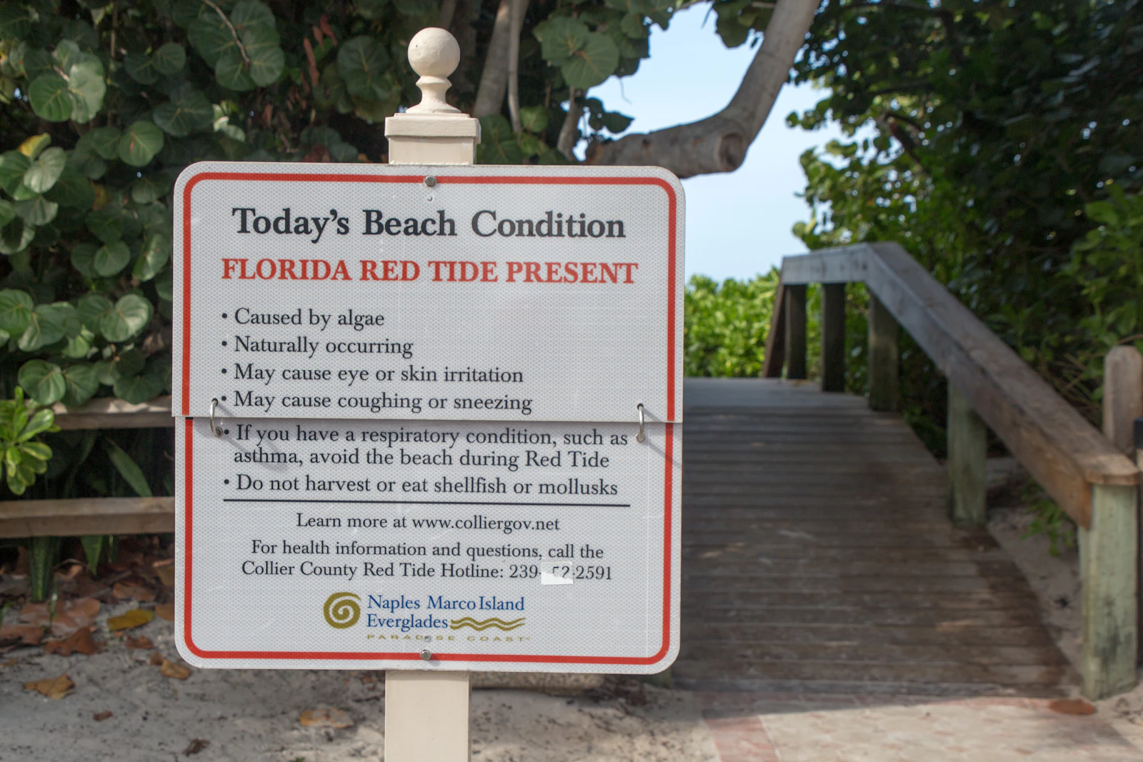 Naples, Florida photo 22 by Florida-Guidebook.com