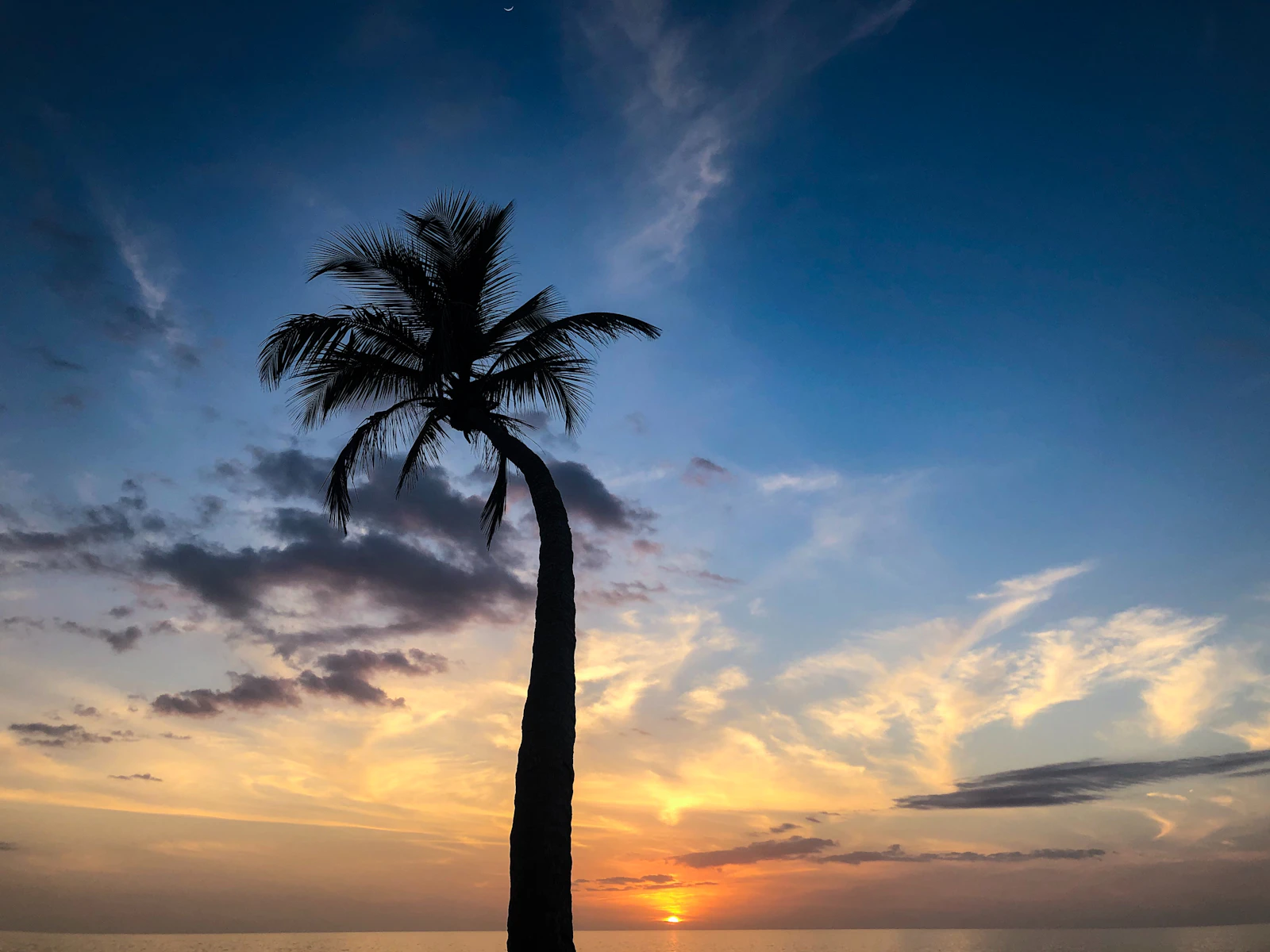 Naples, Florida photo 27 by Max Brinton