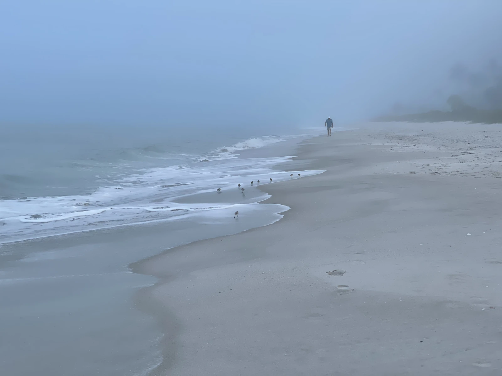 Naples, Florida photo 28 by Lisa Forkner