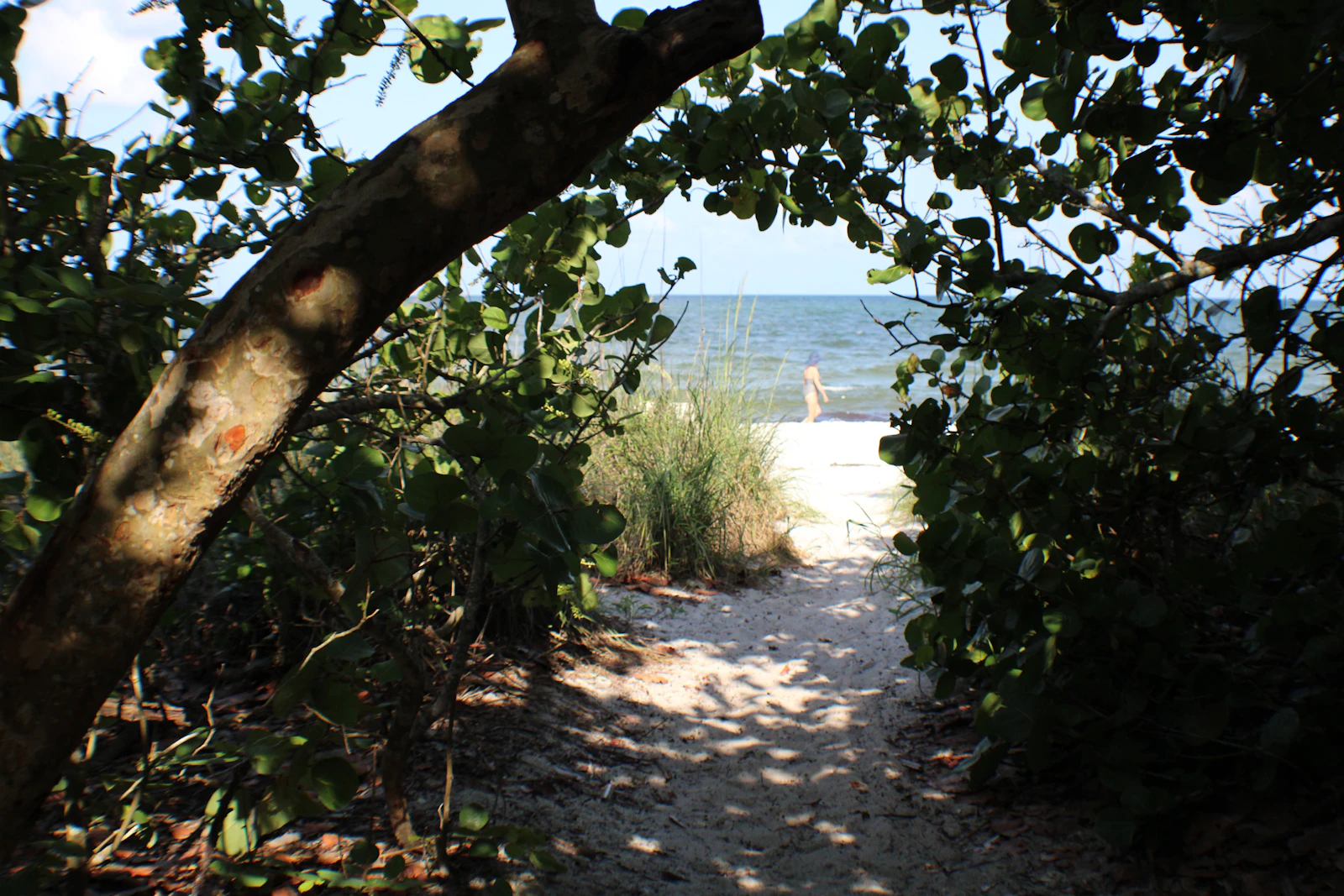 Naples, Florida photo 20 by K Adams