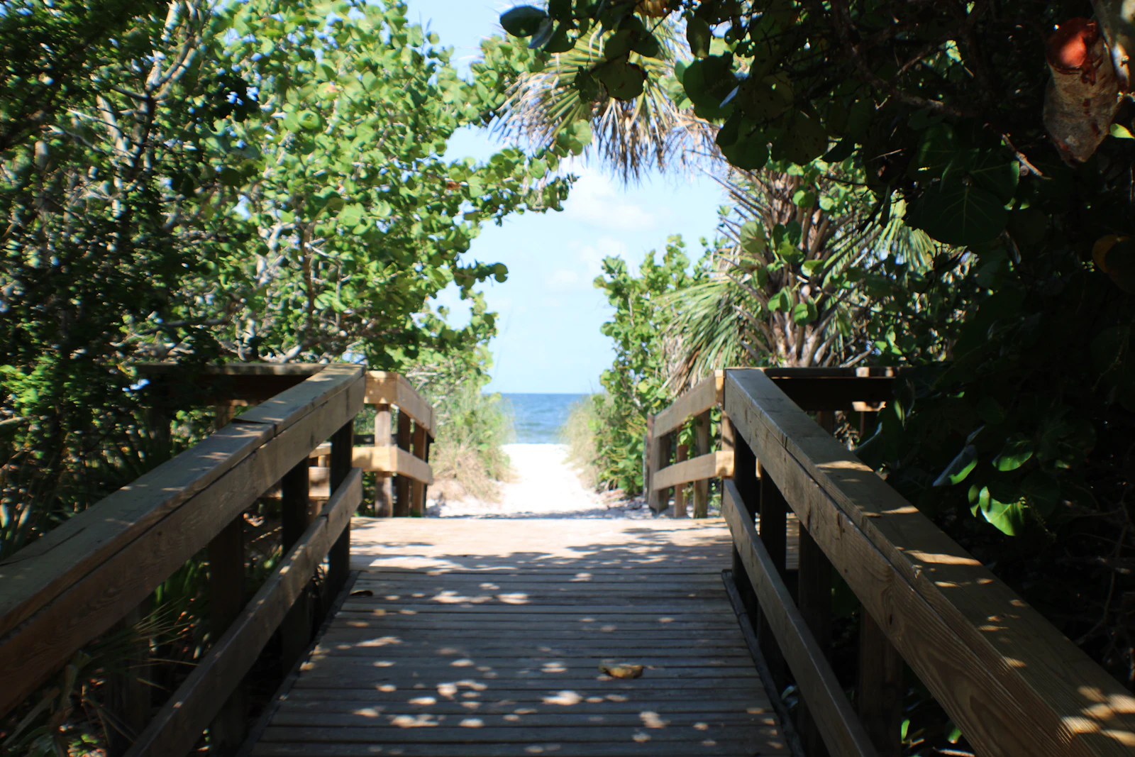 Naples, Florida photo 15 by K Adams