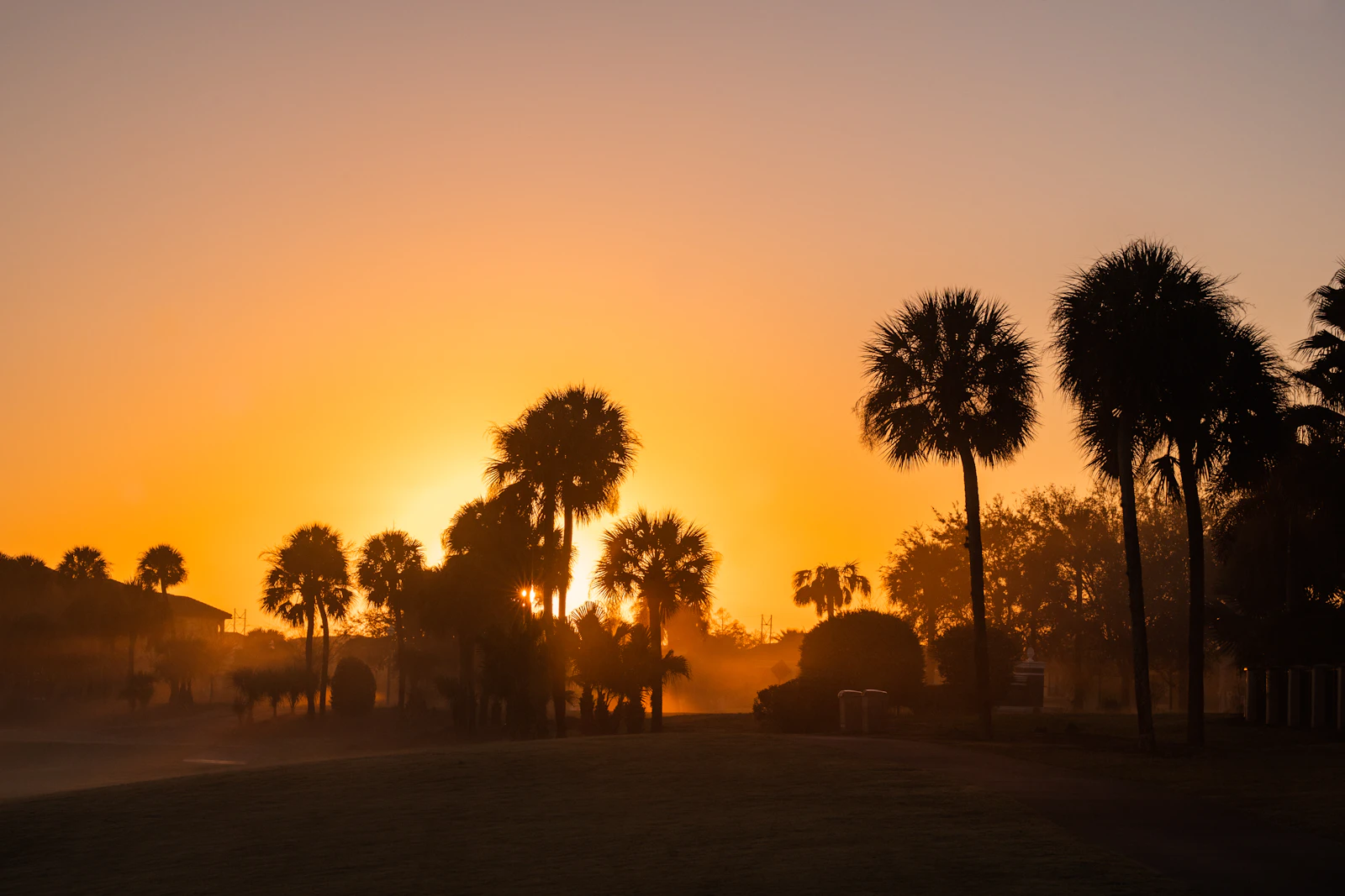 Orlando, Florida photo 16 by Daniela Becerra