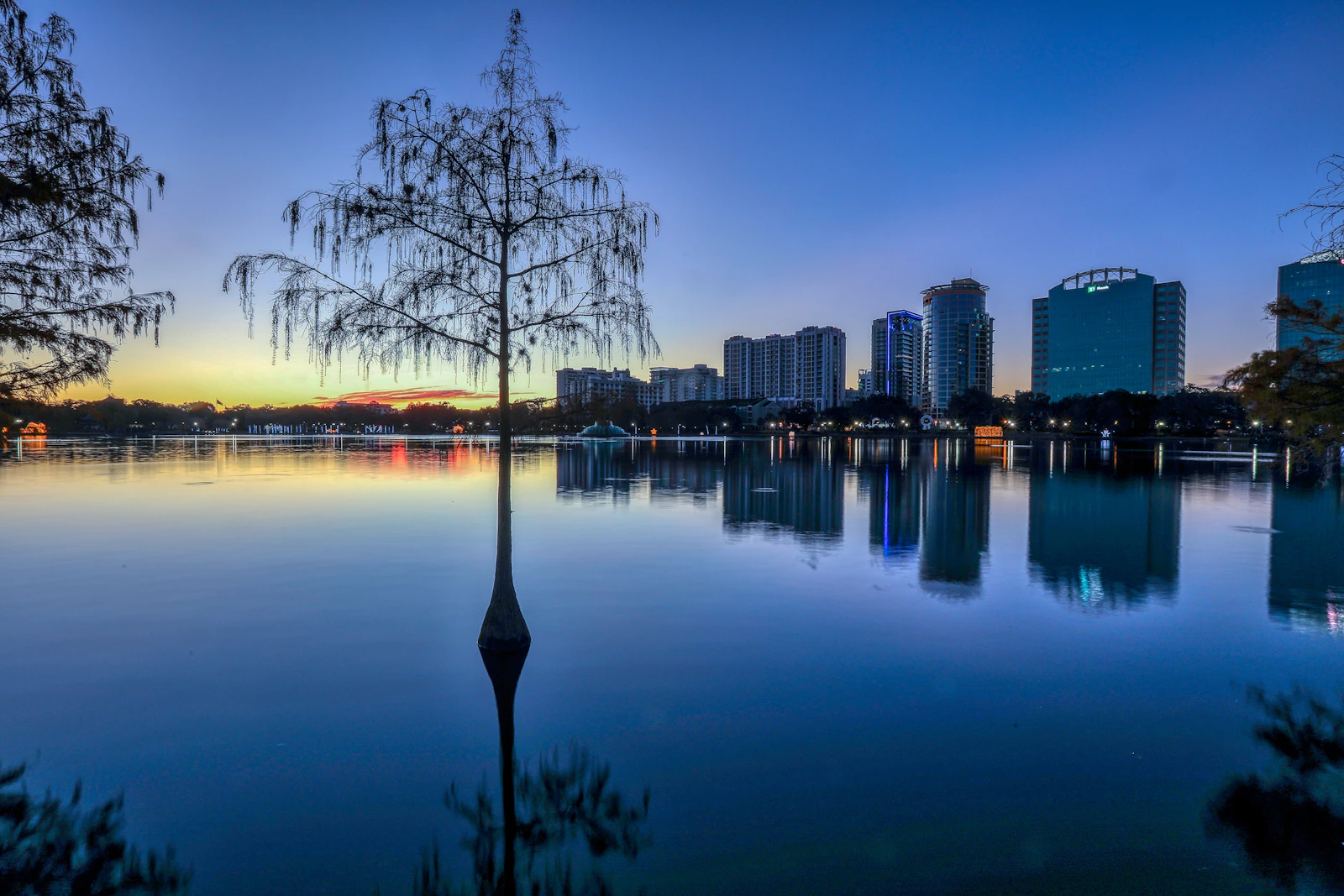 Orlando, Florida photo 23 by Mick Haupt