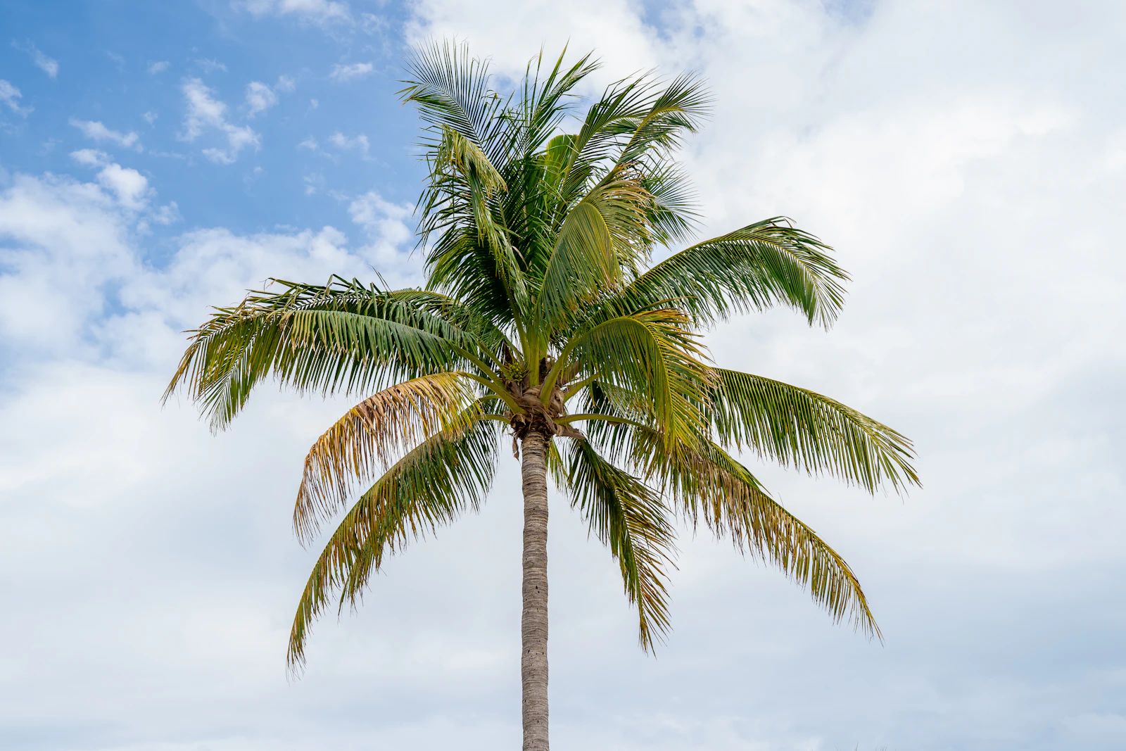 Palm Beach, Florida photo 24 by R.D. Smith