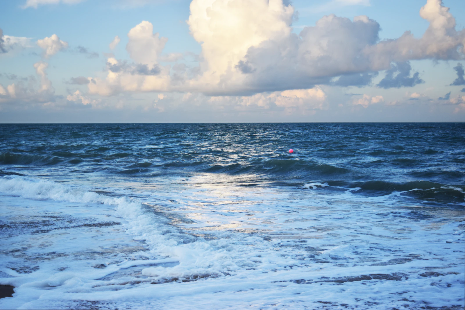 Palm Beach, Florida photo 30 by Tom Nora