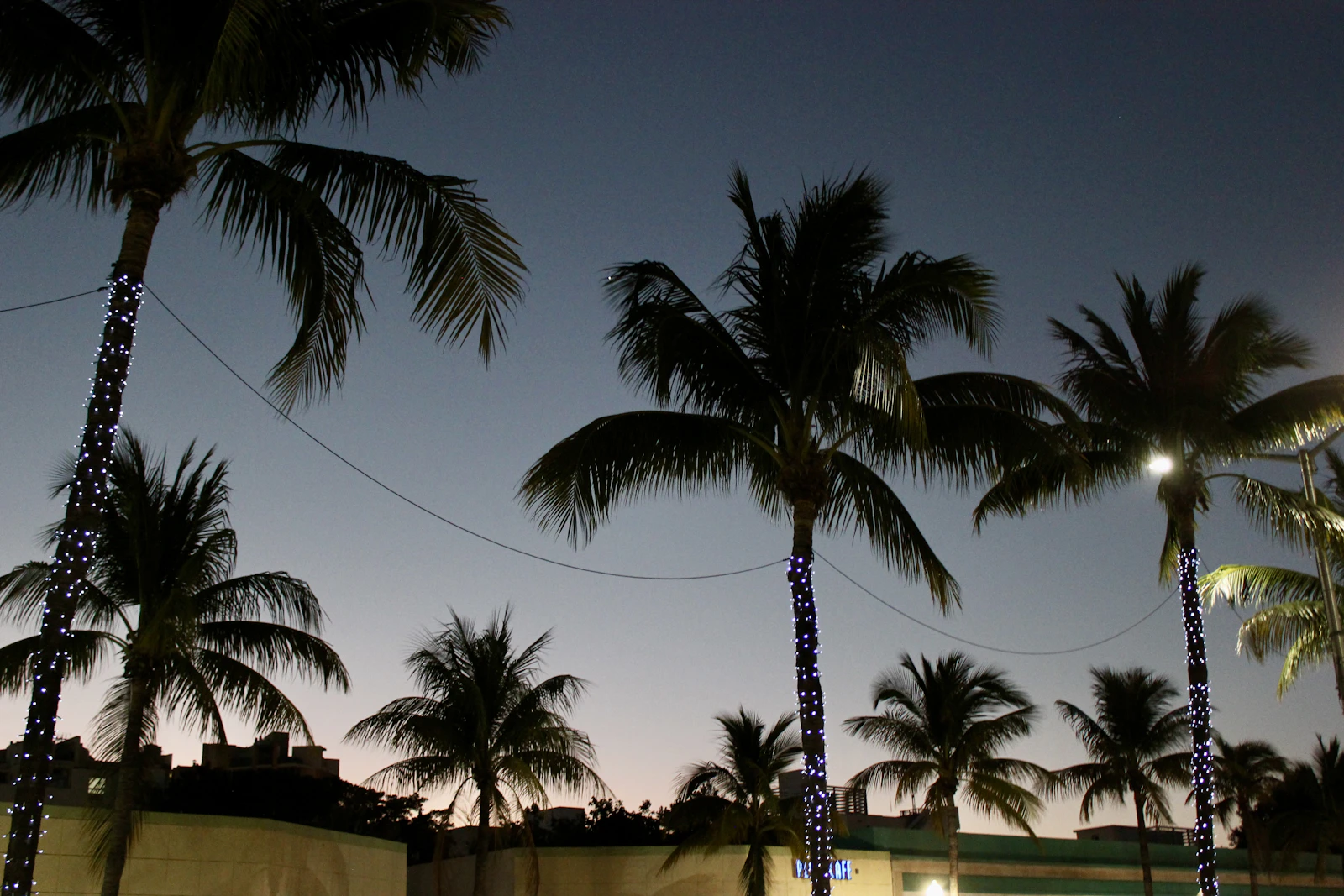 Palm Beach, Florida photo 23 by Aarya