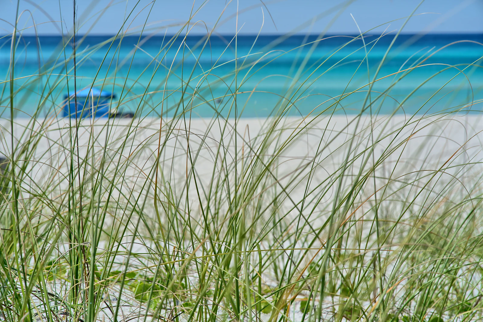 Panama City Beach, Florida photo 1 by Michael Monahan