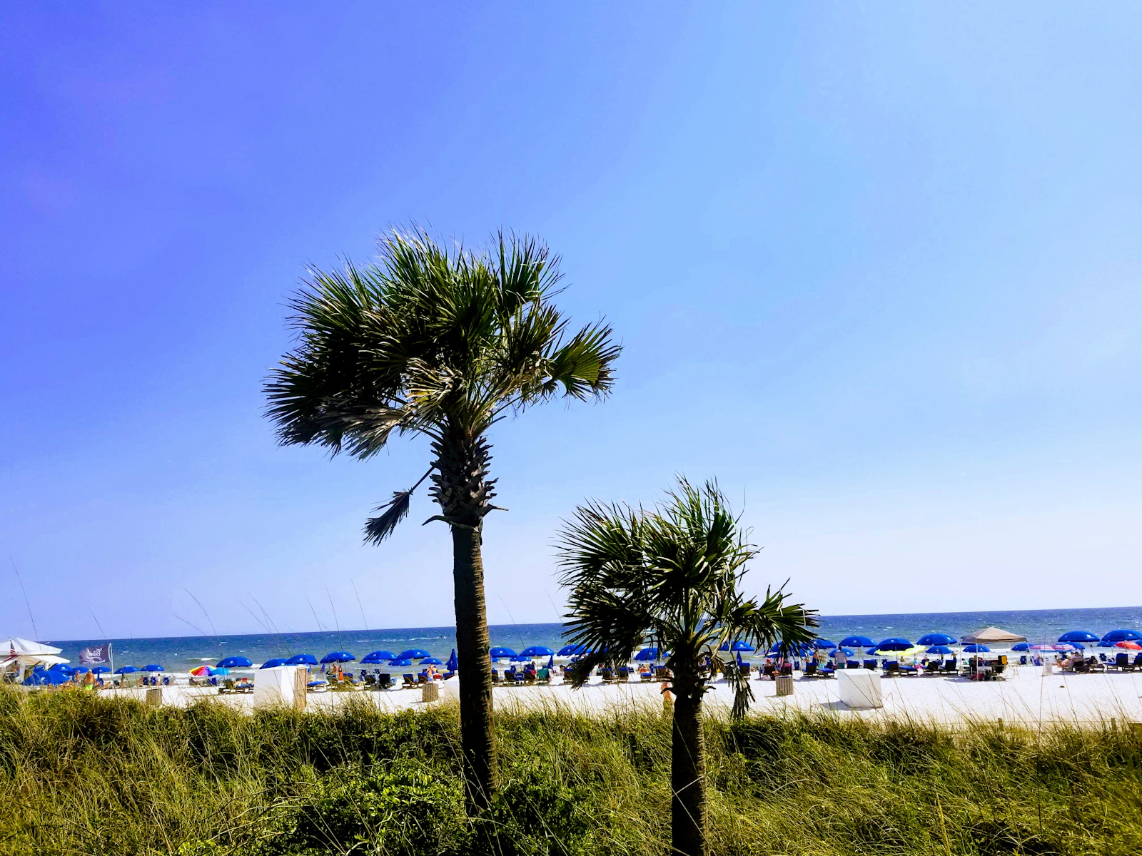 Panama City Beach, Florida photo 29 by Simon Ray