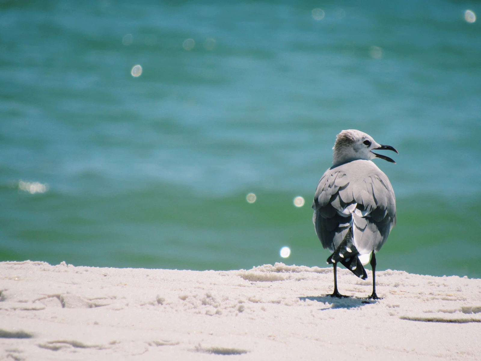 Pensacola, Florida photo 28 by Taylor Cole