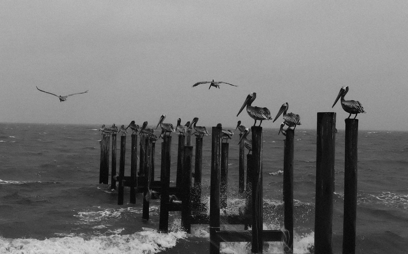 Pensacola, Florida photo 10 by Robert Harkness