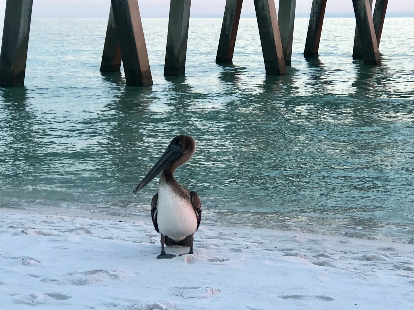 Pensacola, Florida photo 23 by Stephanie Klepacki