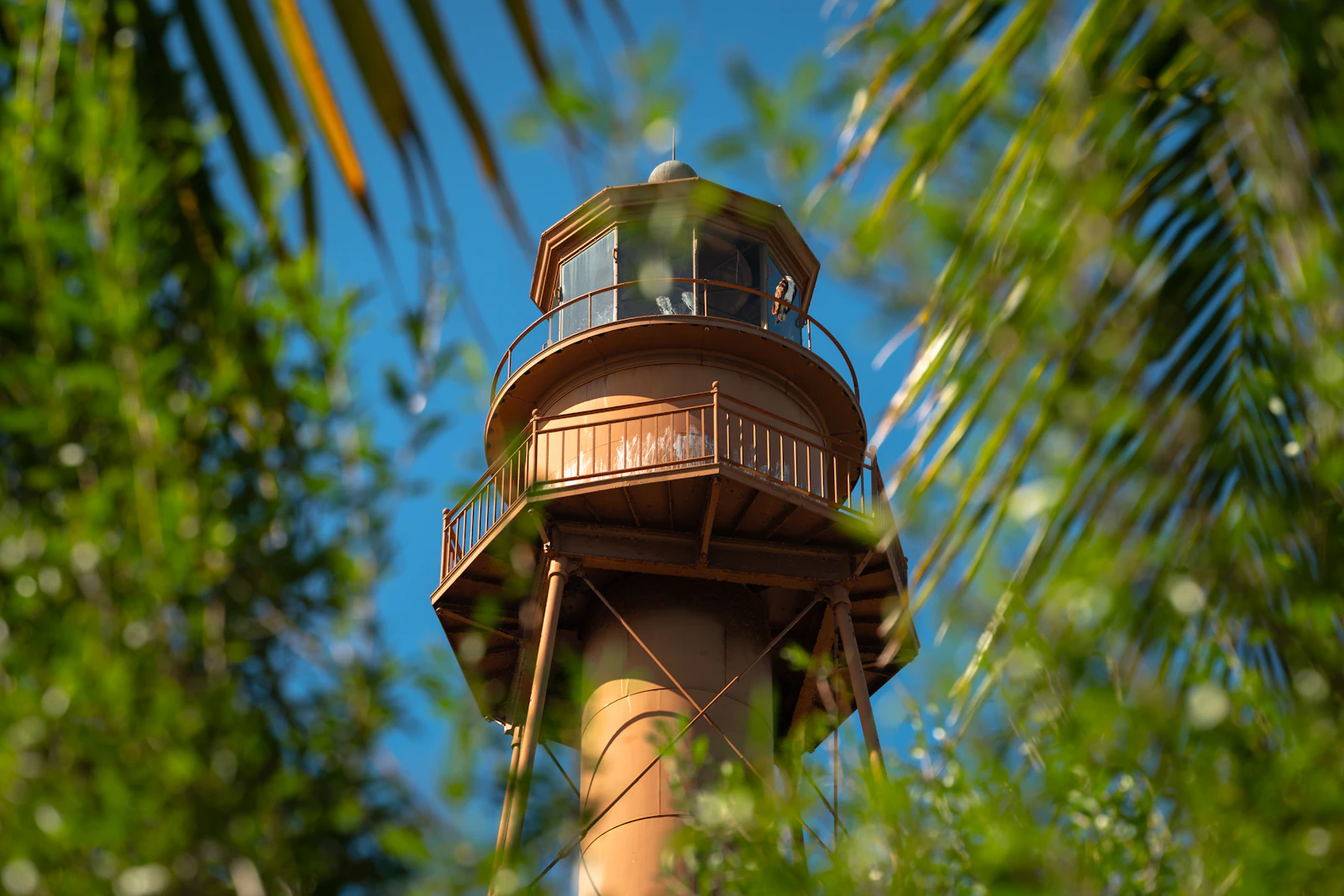 Sanibel Island, Florida photo 3 by Zak Lajoie