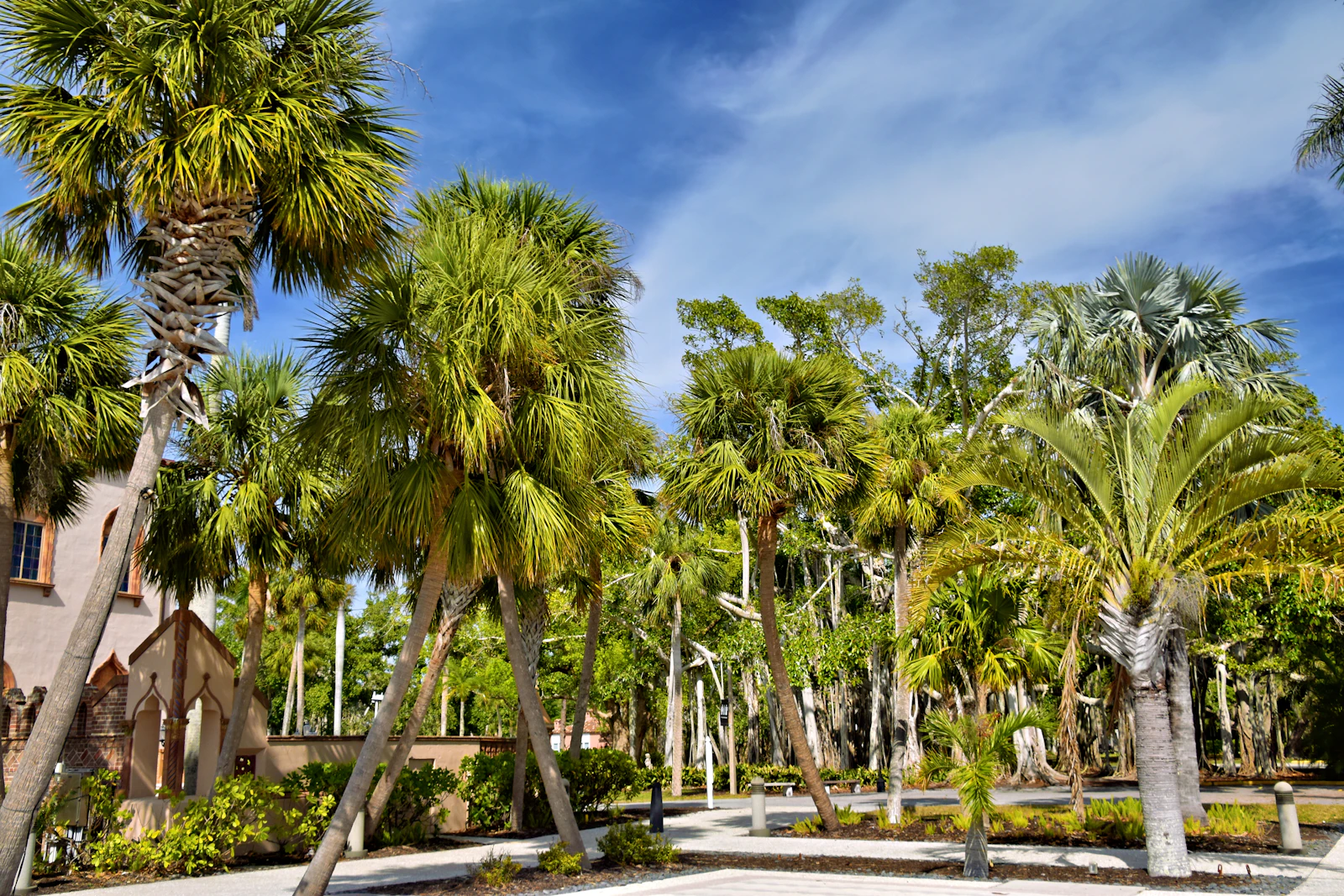 Sarasota, Florida photo 16 by Jeffrey Eisen