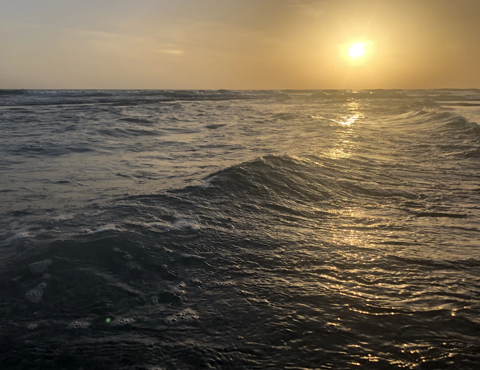 Sarasota, Florida photo 23 by Sydney Heid