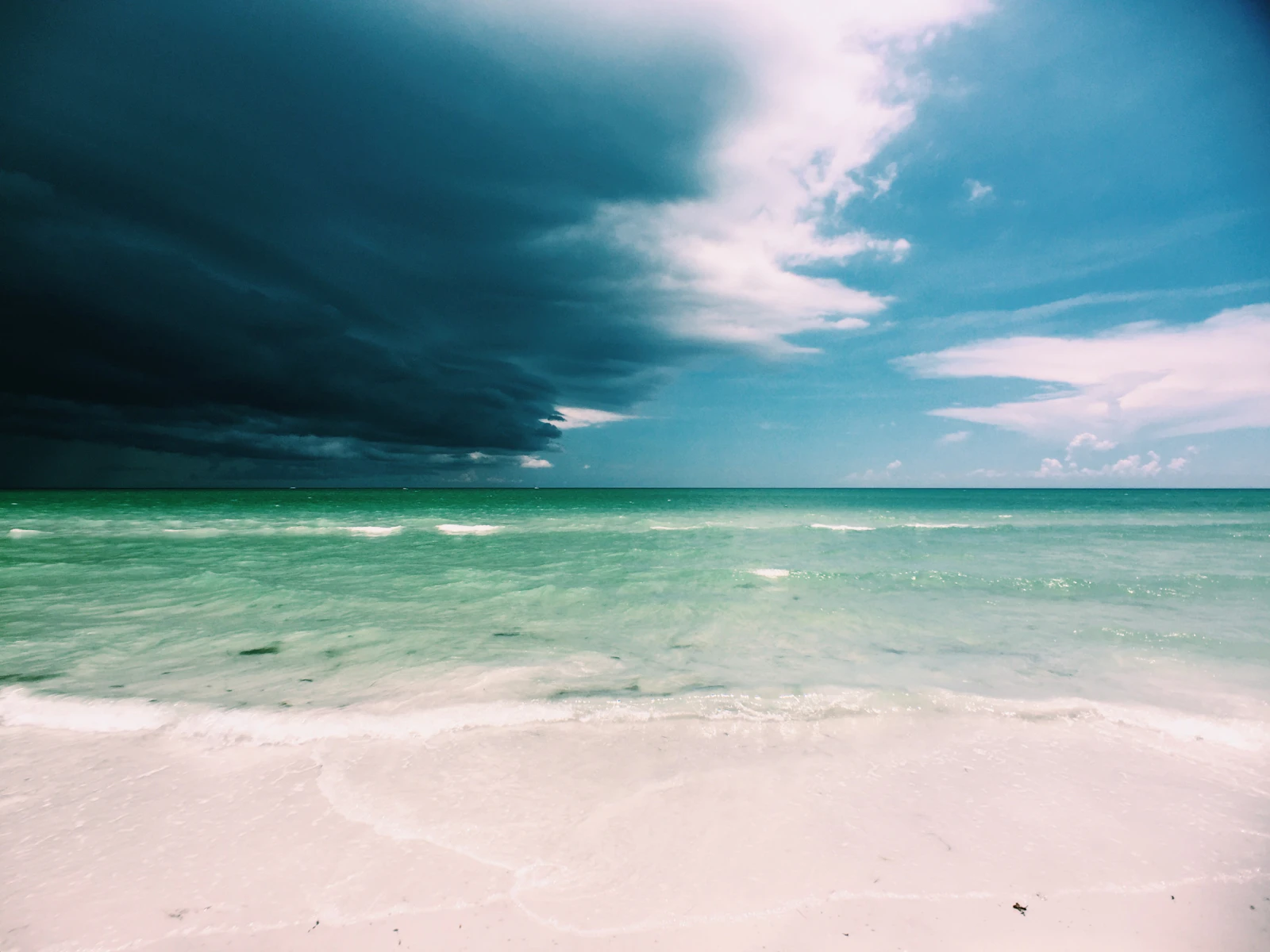 Sarasota, Florida photo 18 by Ayla Meinberg