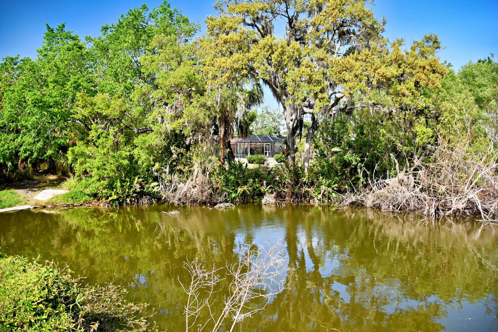 Sarasota, Florida photo 17 by Jeffrey Eisen