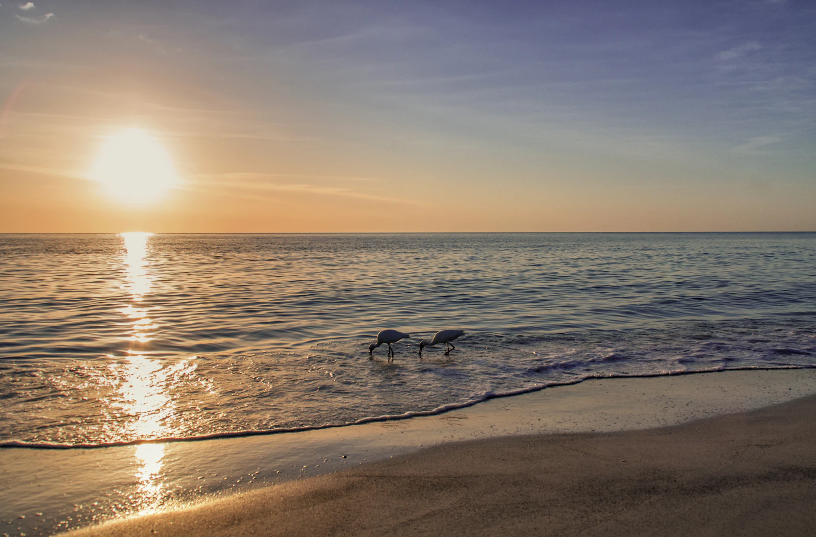 Sarasota, Florida photo 6 by moerwijk