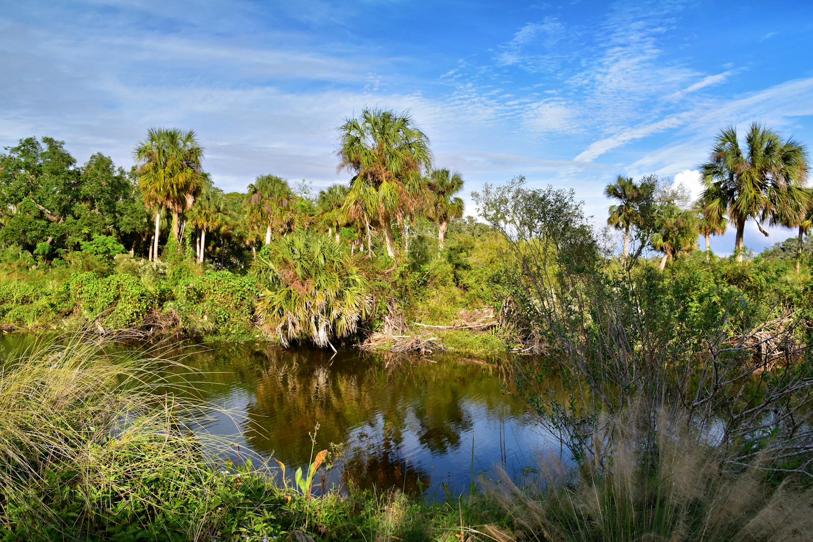 Sarasota, Florida photo 15 by Jeffrey Eisen