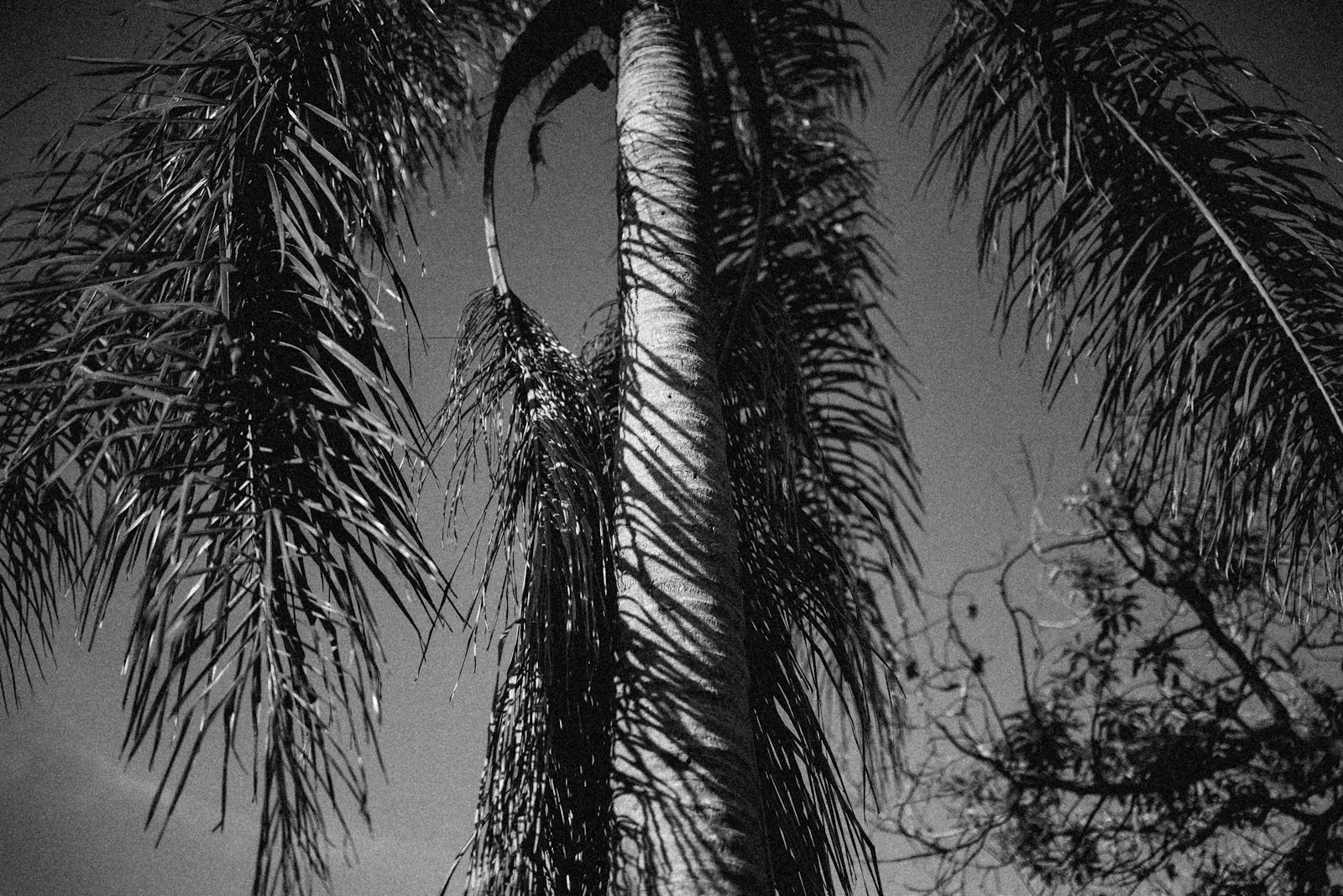 Siesta Key, Florida photo 12 by Bennie Bates