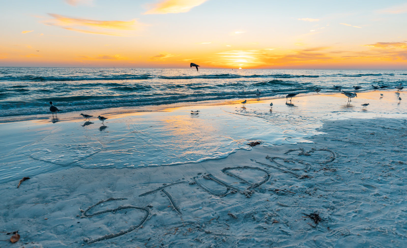 Siesta Key, Florida photo 3 by Derrick Payton