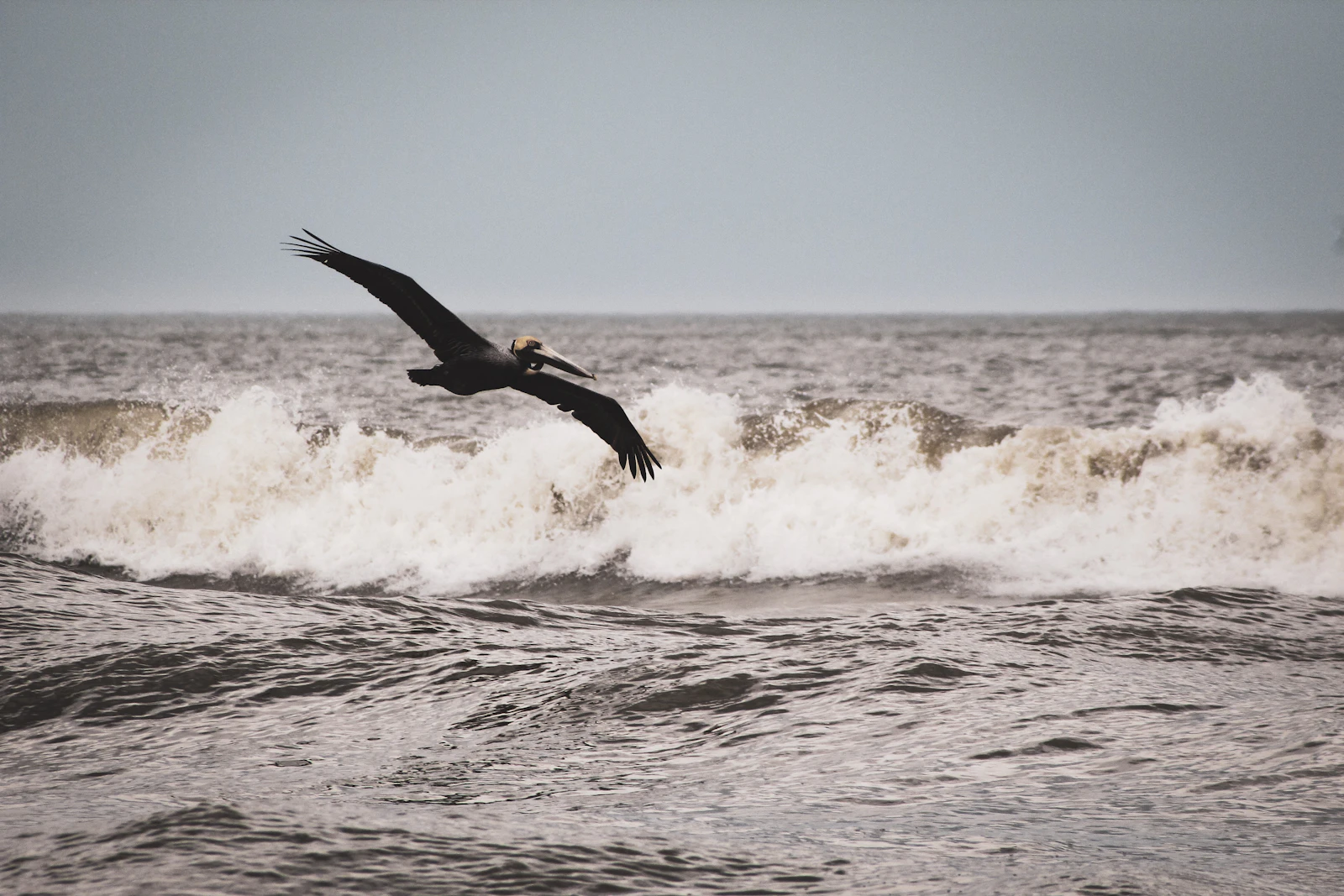 St. Augustine, Florida photo 26 by Smile Difrnt