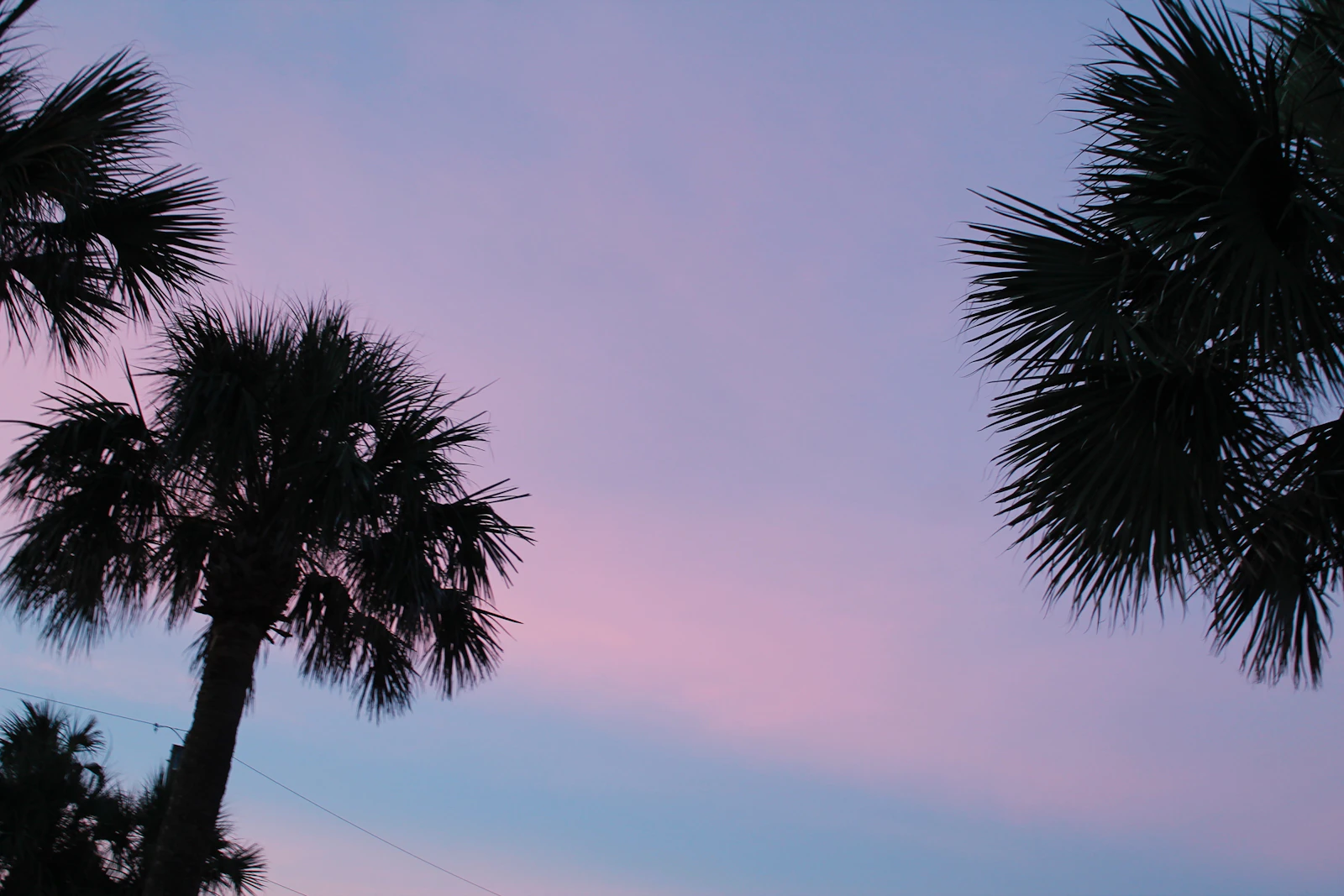 St. Augustine, Florida photo 16 by Maddie DiFilippo
