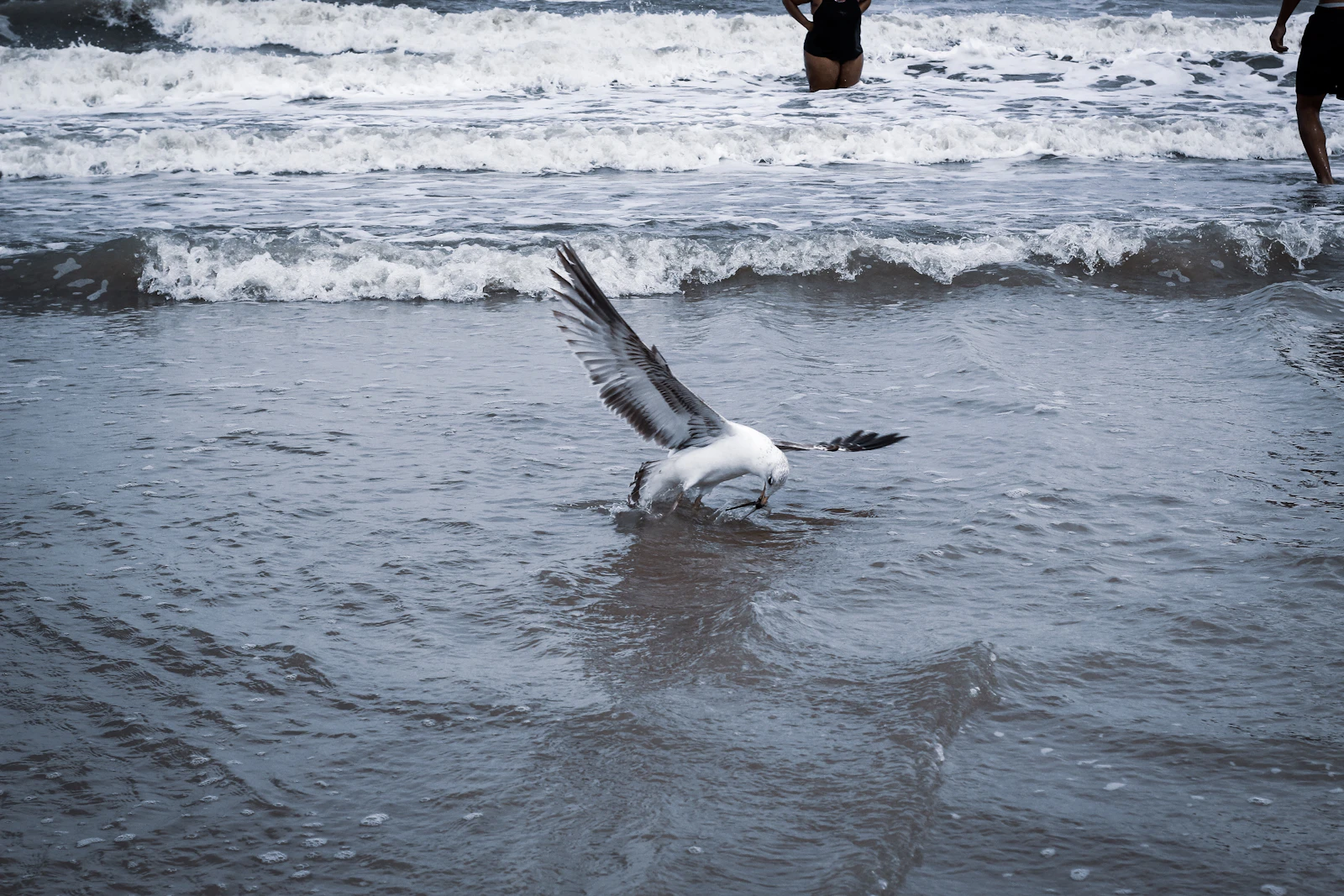 St. Augustine, Florida photo 17 by Smile Difrnt