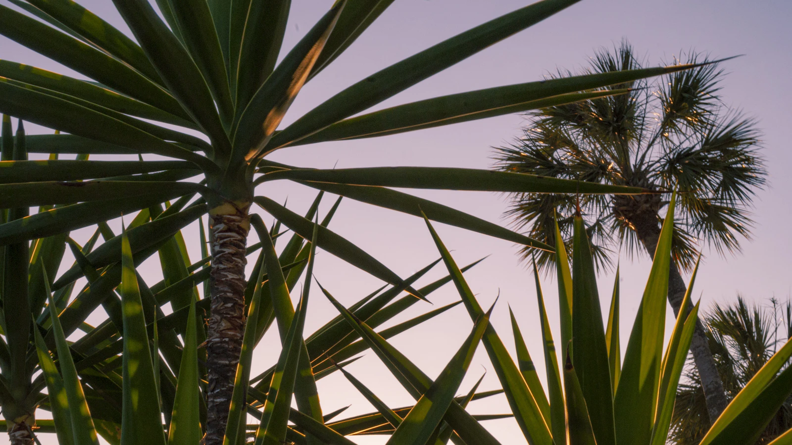 St. Augustine, Florida photo 11 by Christian Robinson