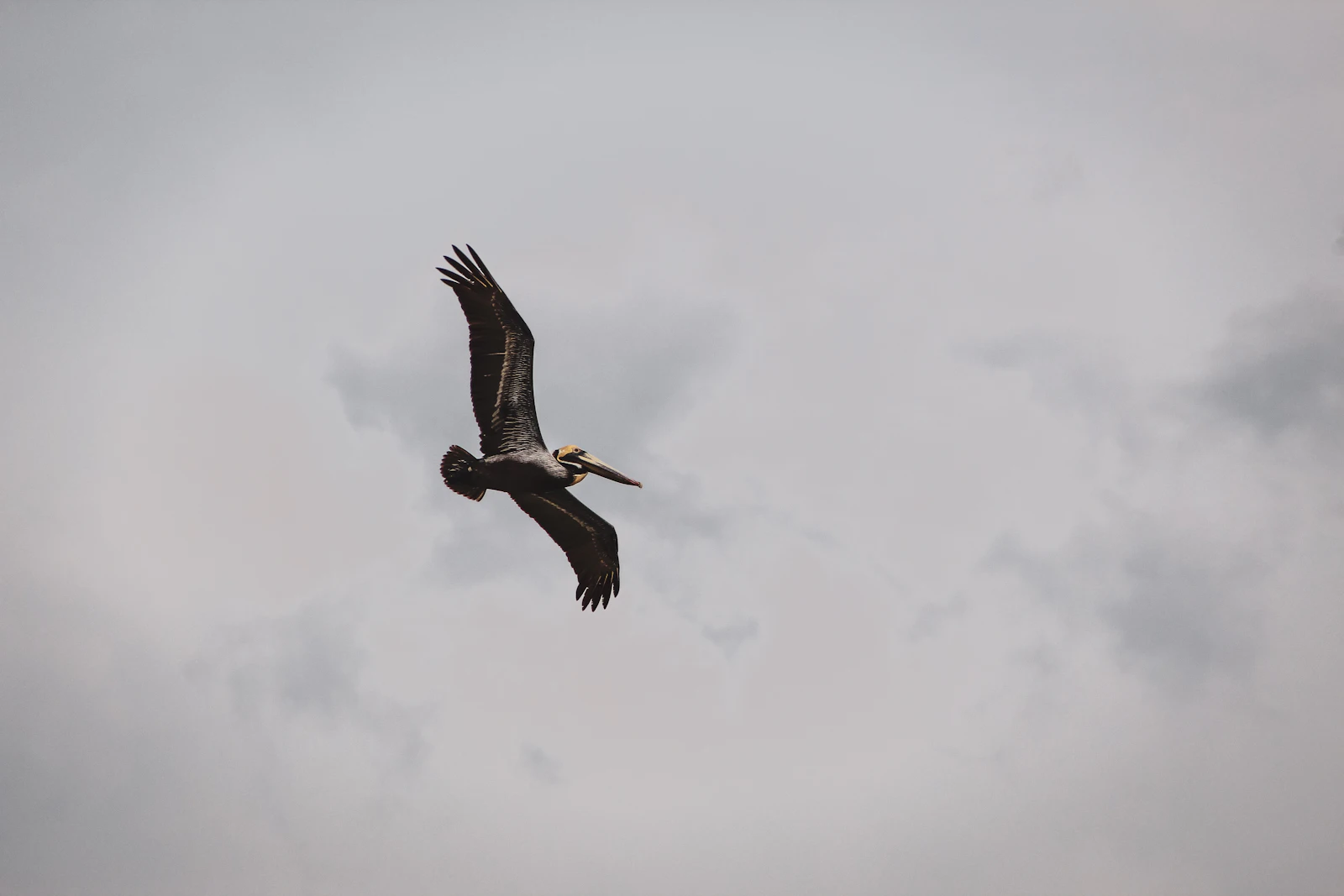 St. Augustine, Florida photo 19 by Smile Difrnt