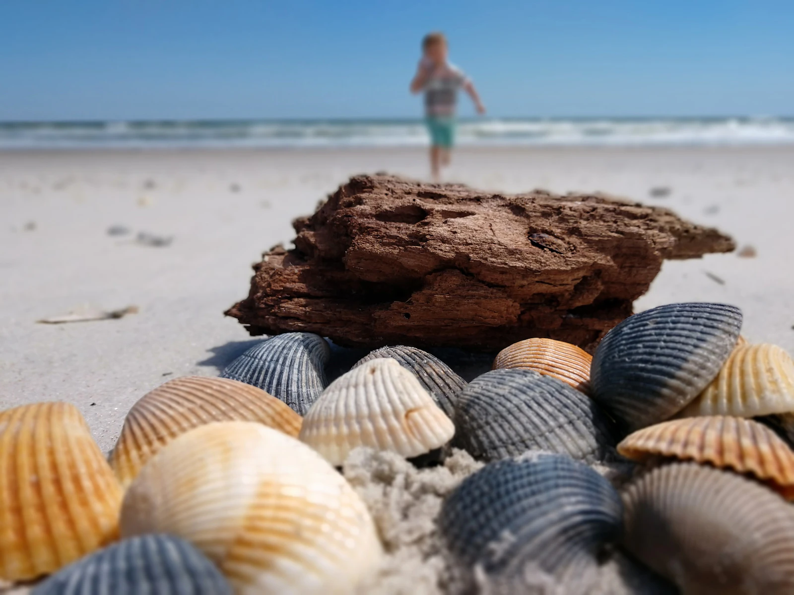St. Augustine, Florida photo 14 by Brett Kunsch